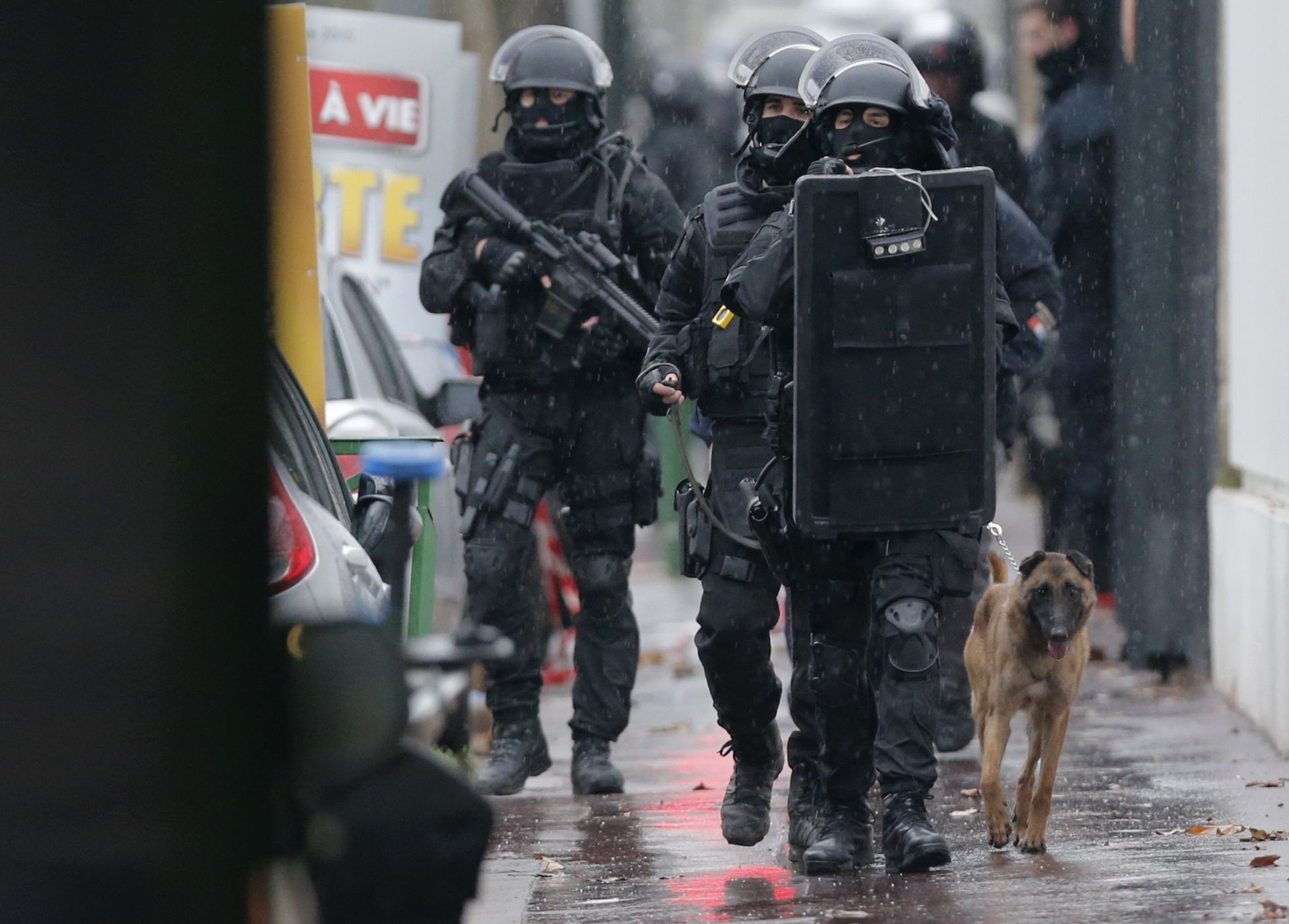 France Dog Paris ISIS Islamic State