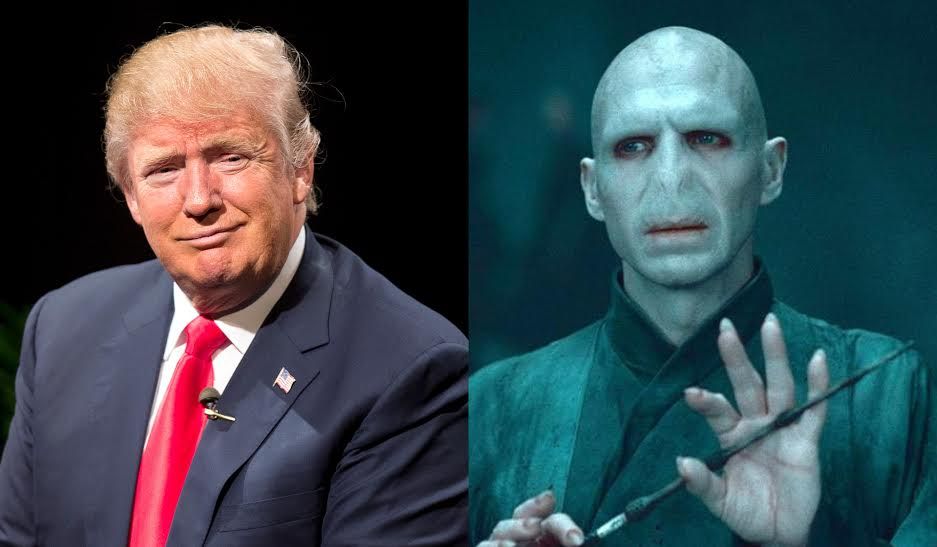 22 Memes That Have Us Calling Voldemort He Who Should Not Be