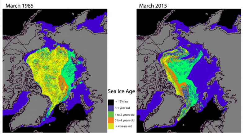 NOAA sea ice extent 1985 and 2015