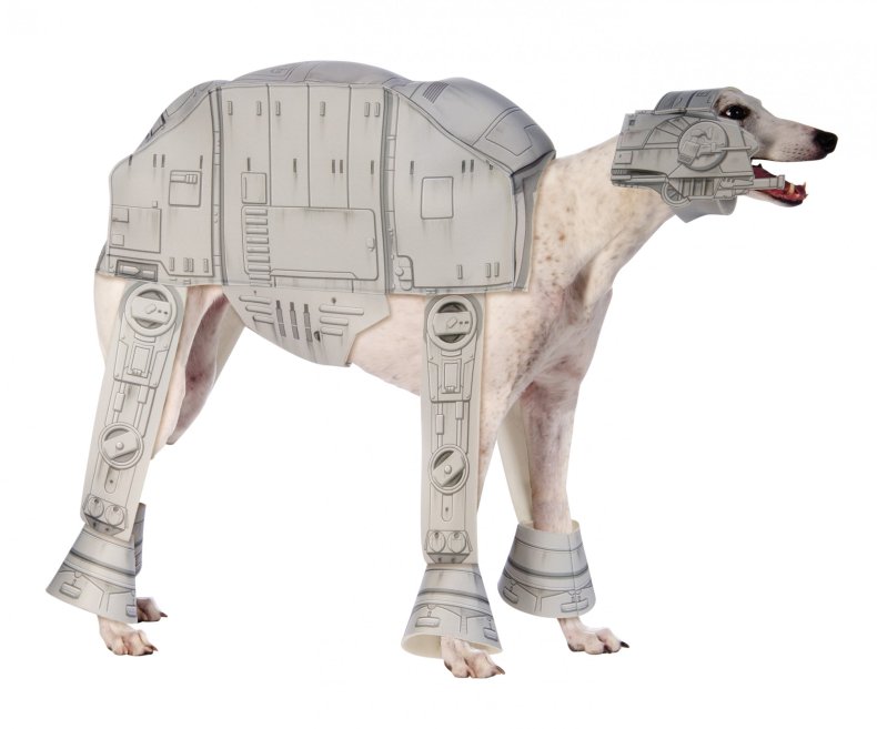 12_17_GG_StarWars_Dog 12_17_GG_StarWars_Dog