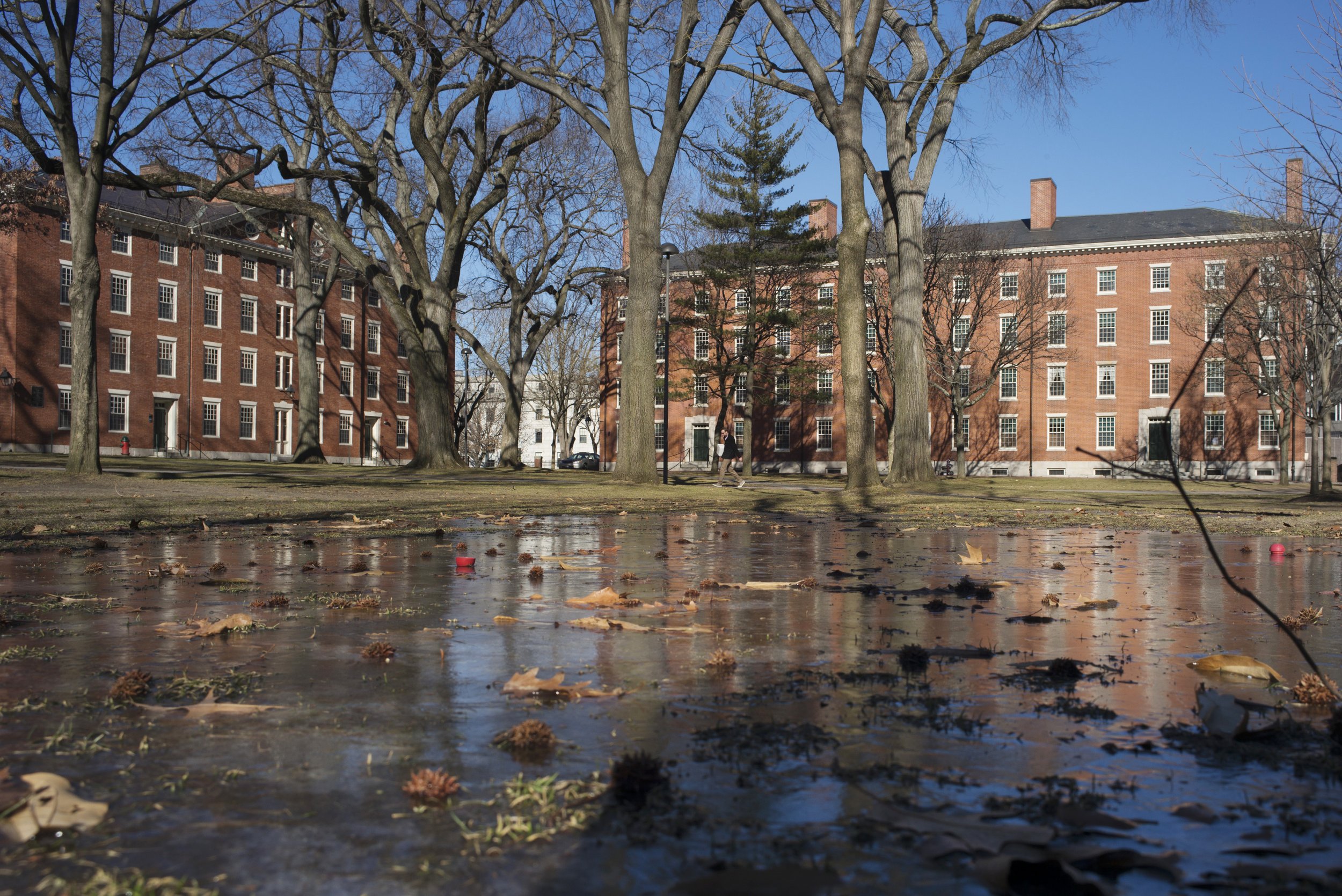 former-homeless-teen-called-harvard-by-bullies-wins-full-ride-to-ivy