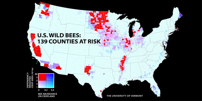 12_21_bee_decline_02