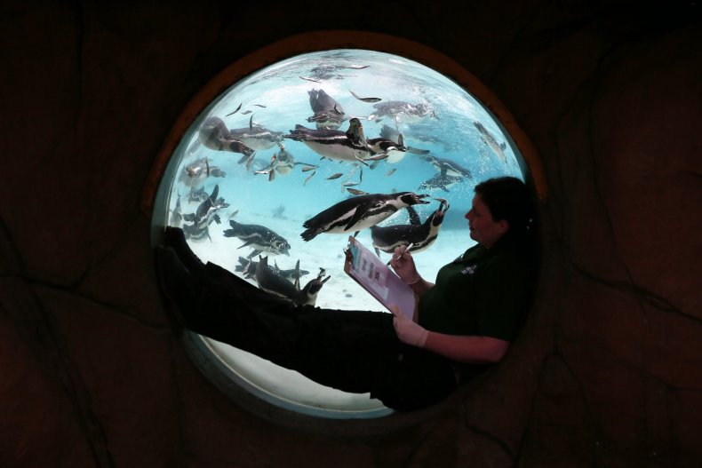 14londonzoo2