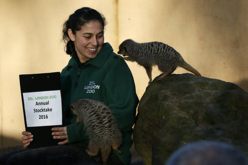 14londonzoo3