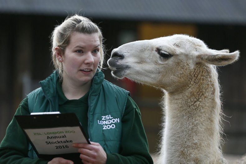 14londonzoo5