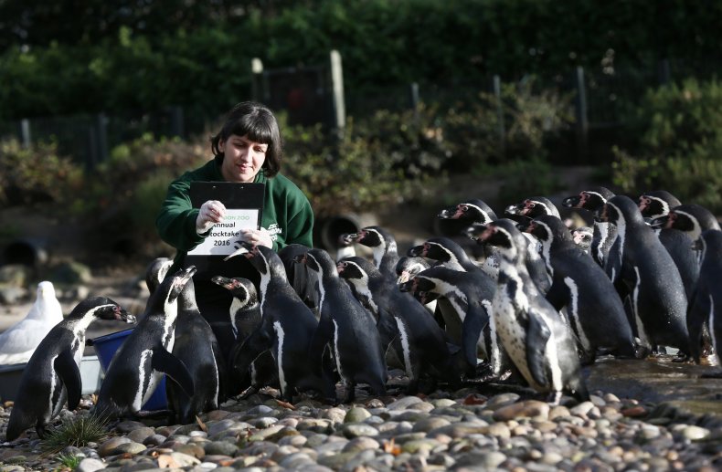 14londonzoo6