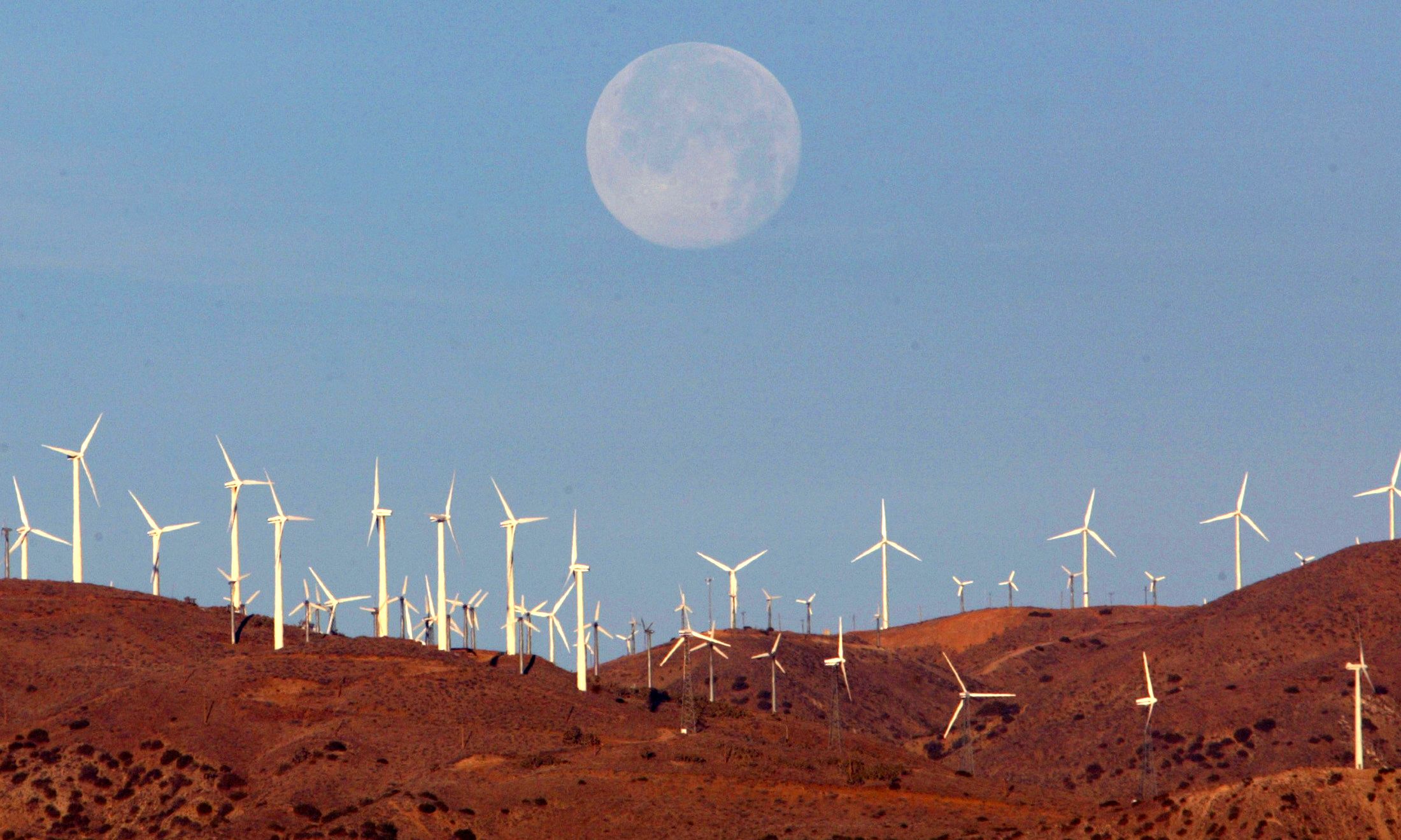01_07_mojave_desert_01 01_07_mojave_desert_01