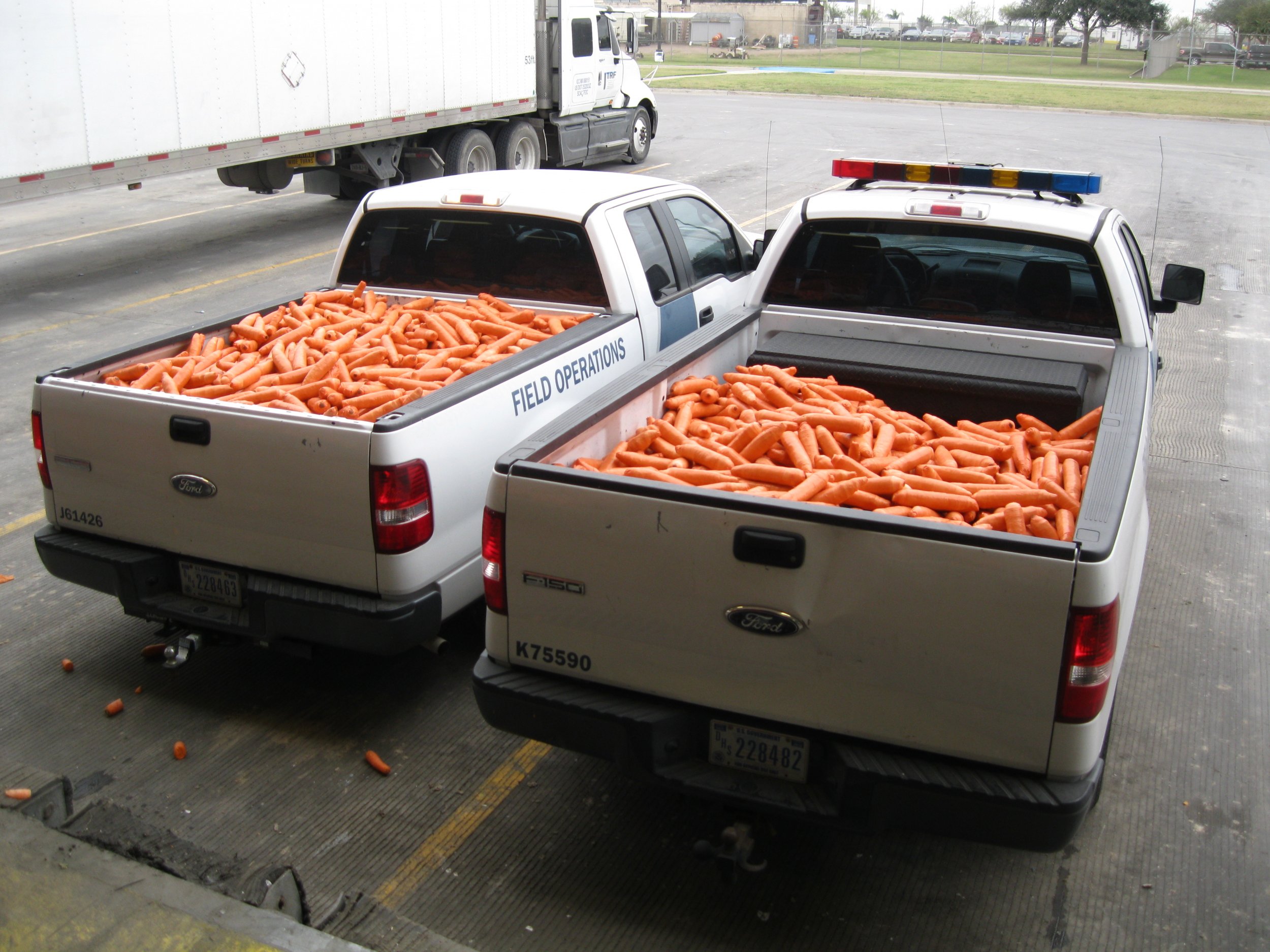 weed carrot mexico shipment cbp_0114