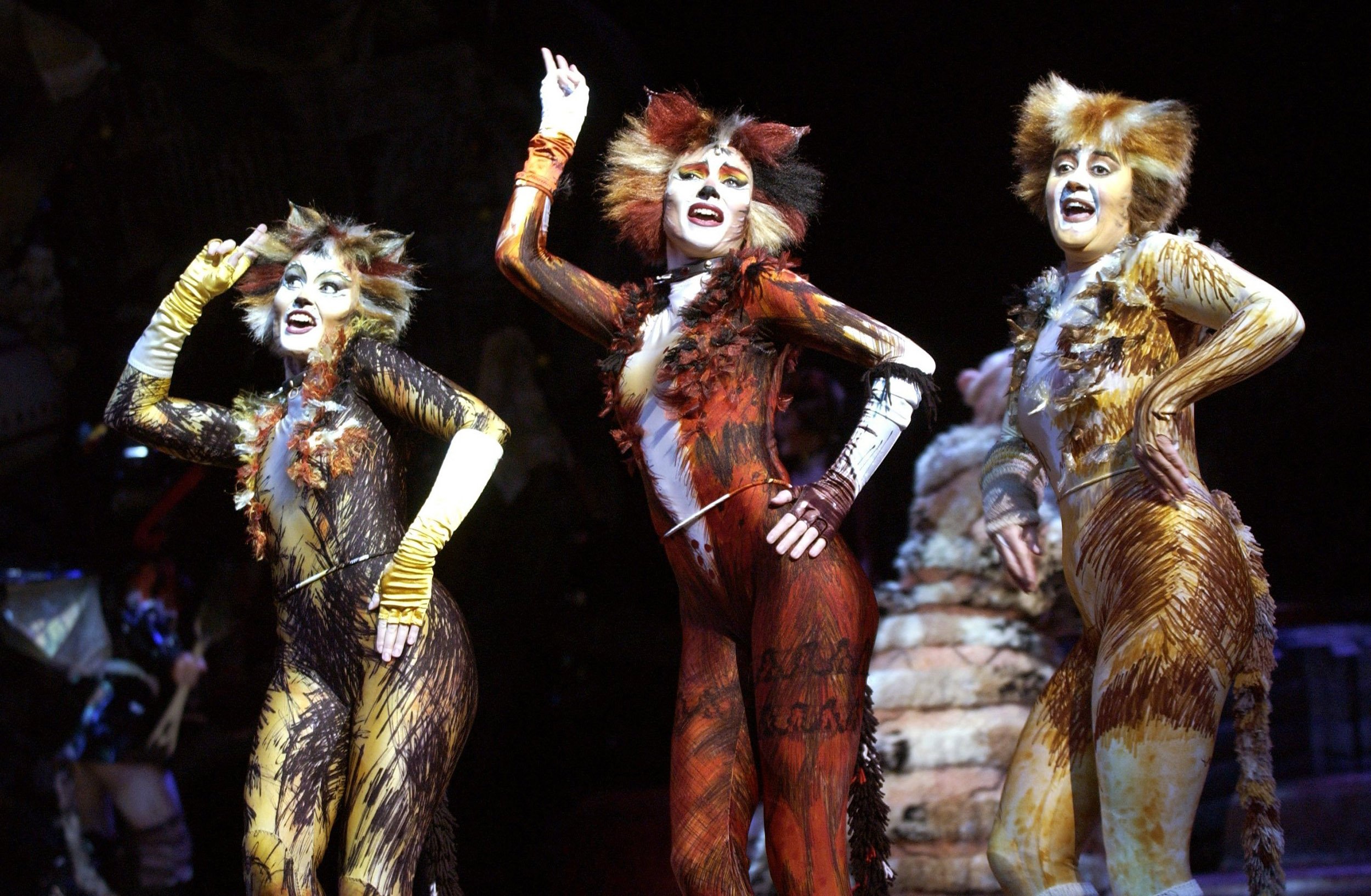 Cats the Musical ✓