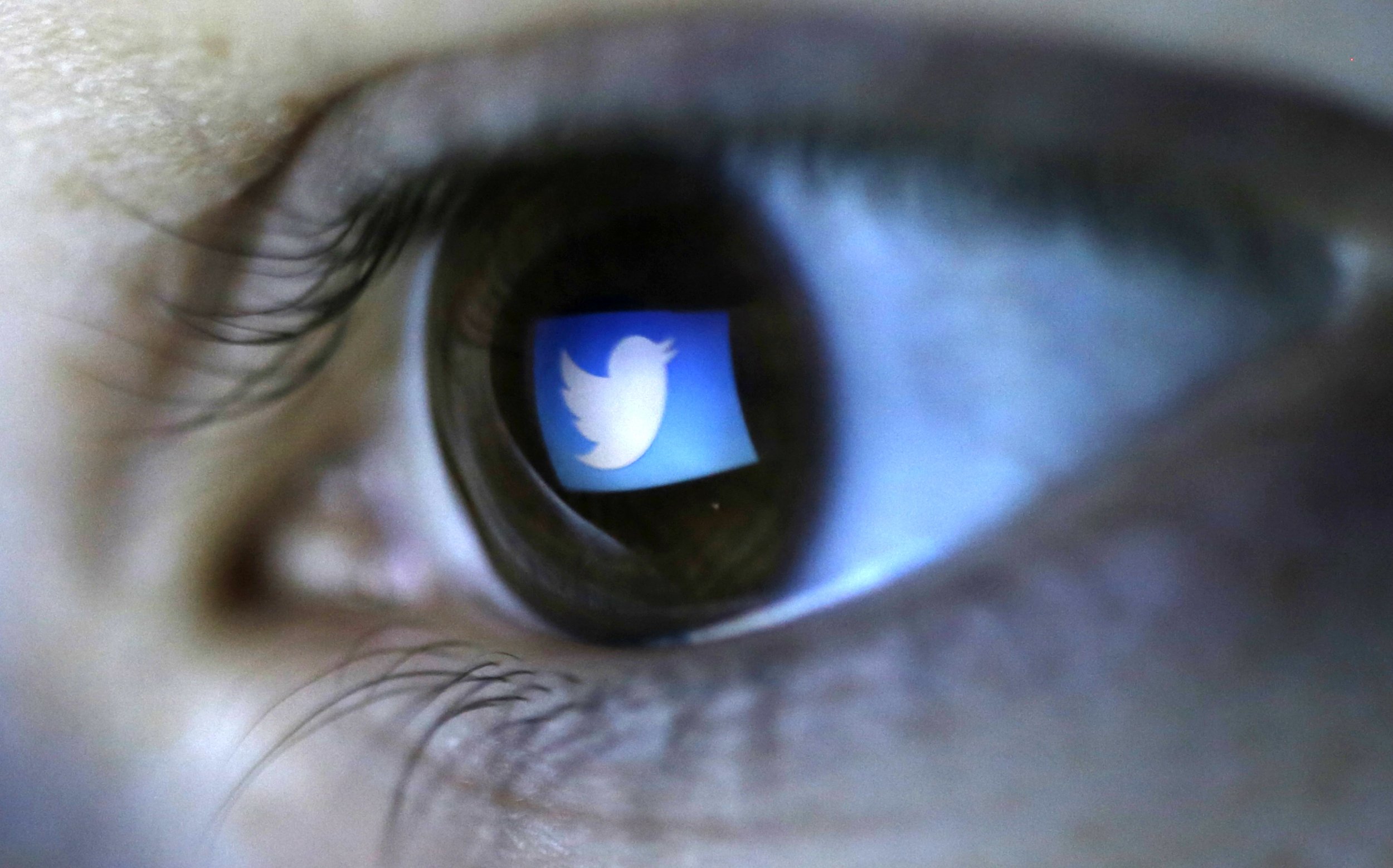 Twitter state sponsored hacking NSA