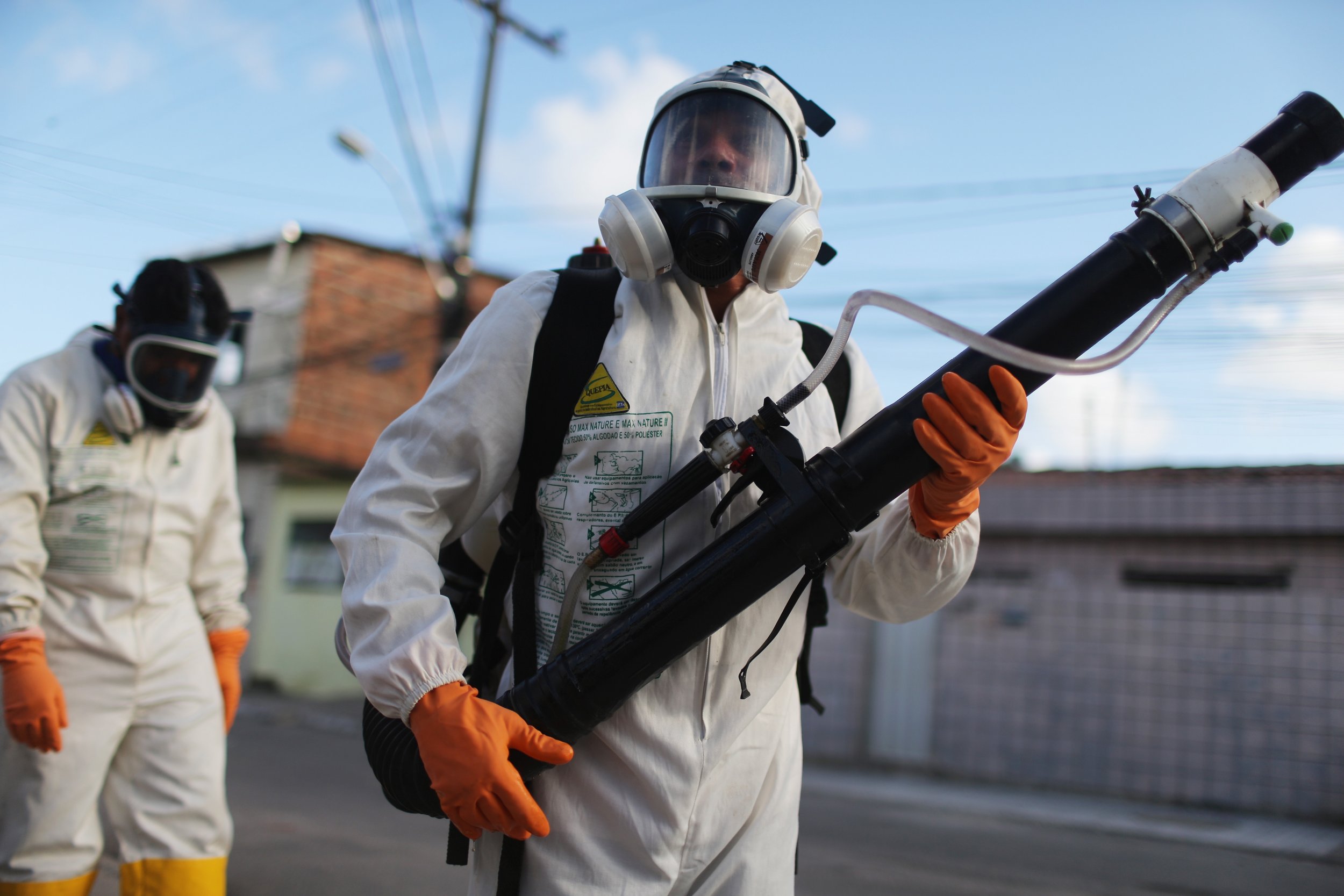 The Zika virus could threaten the Rio 2016 Olympics.