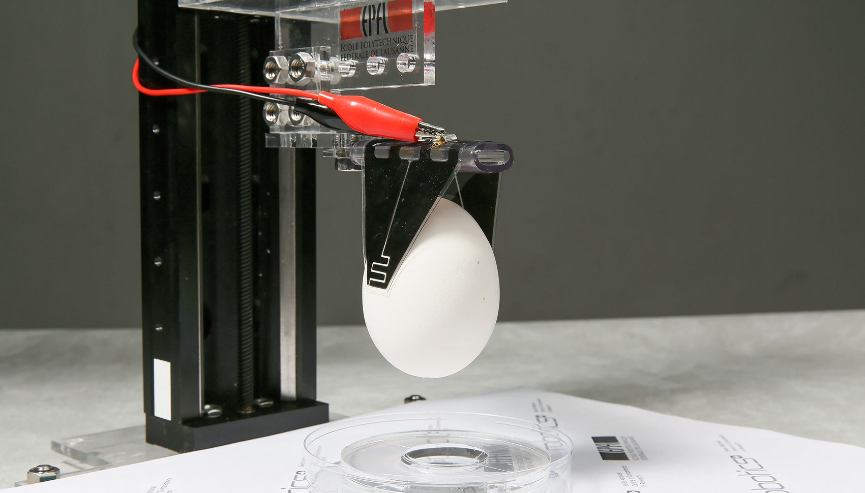 robotics electroadhesion egg epfl prosthetics