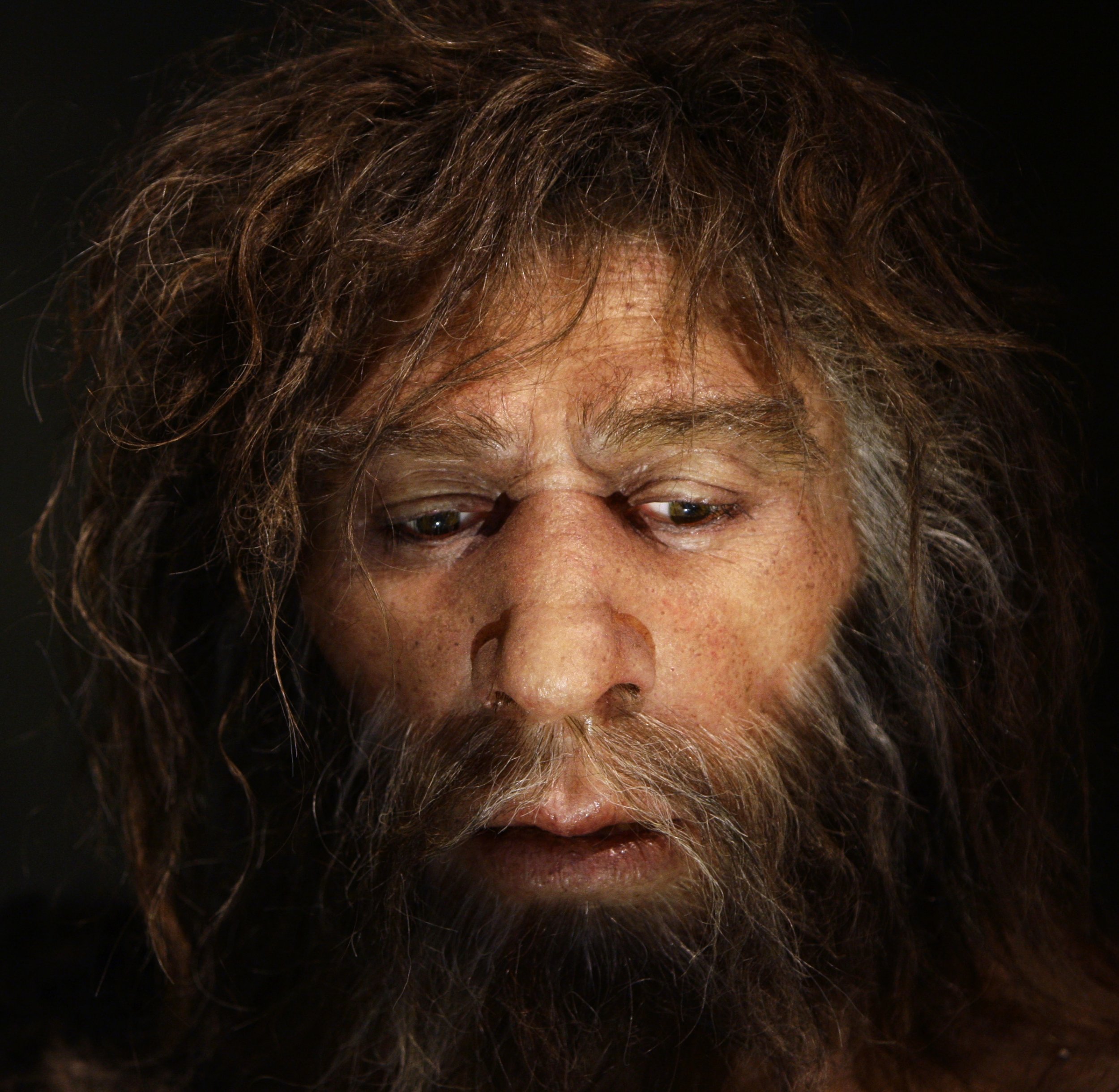 0216_neanderthal_extinction_culture_01