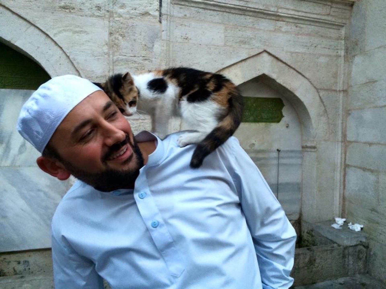 Istanbul Street Cats Take Over Historic Mosque