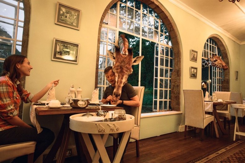 2015_GiraffeManor_Kenya_MG_0318