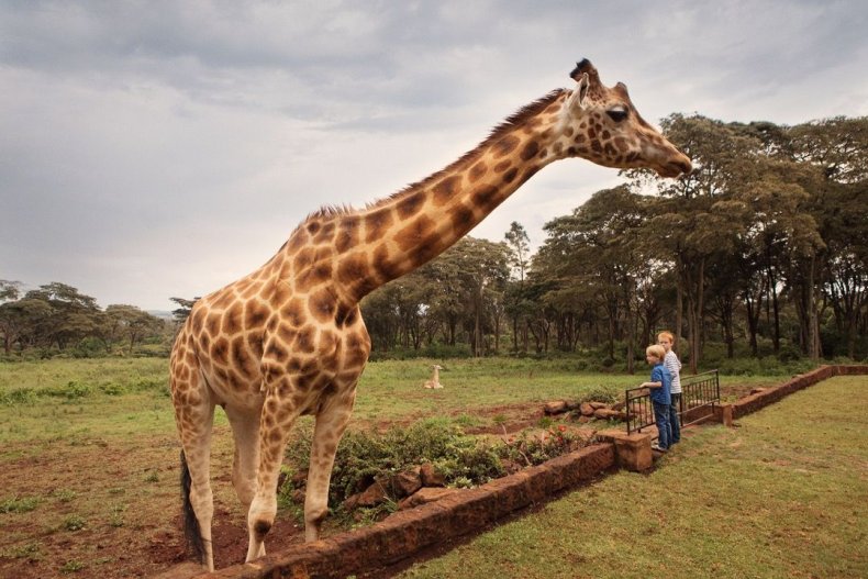 2015_GiraffeManor_Kenya_MG_0218