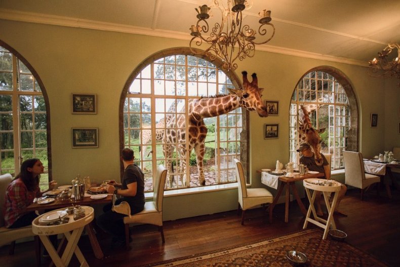 2015_GiraffeManor_Kenya_MG_0474
