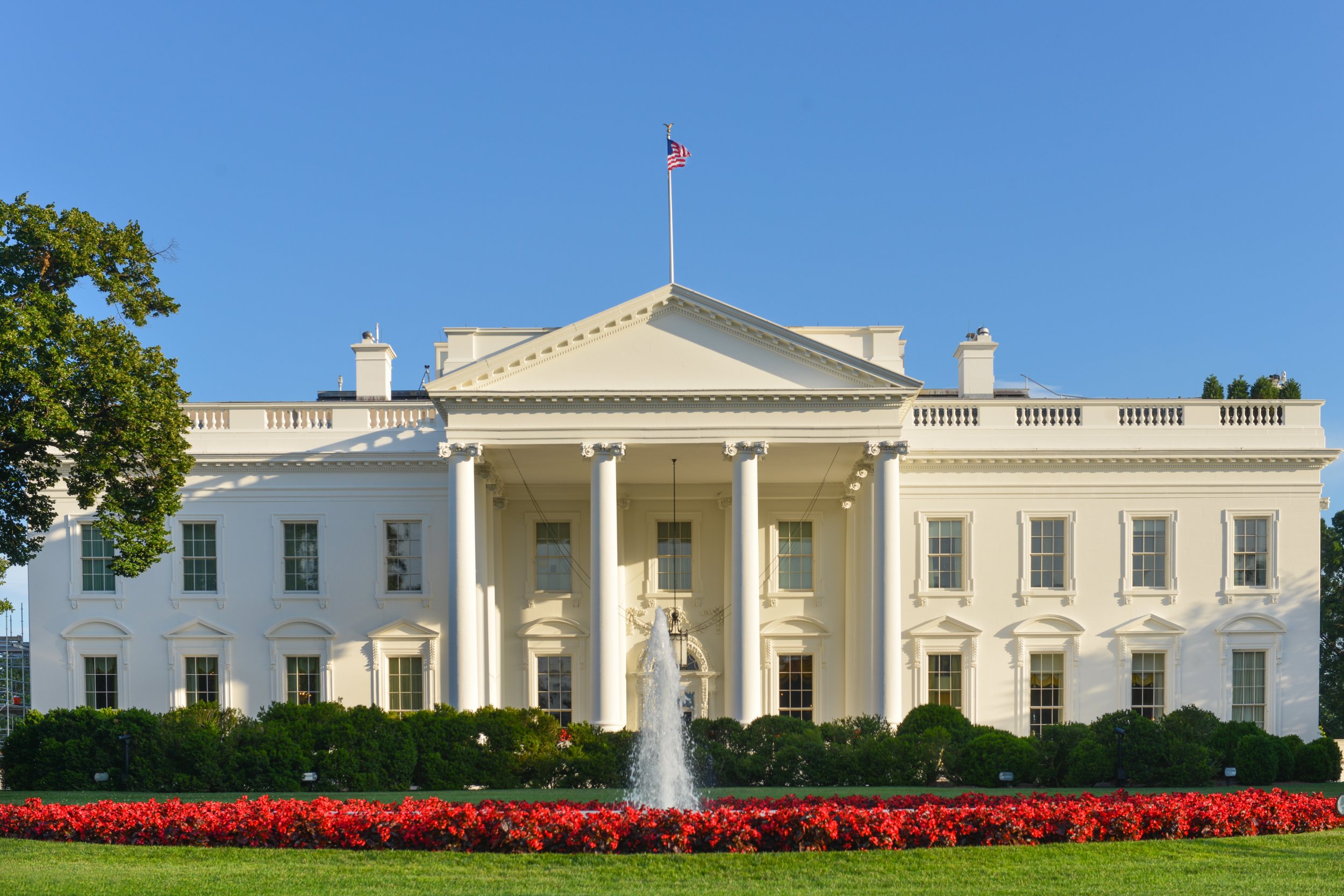 white house design