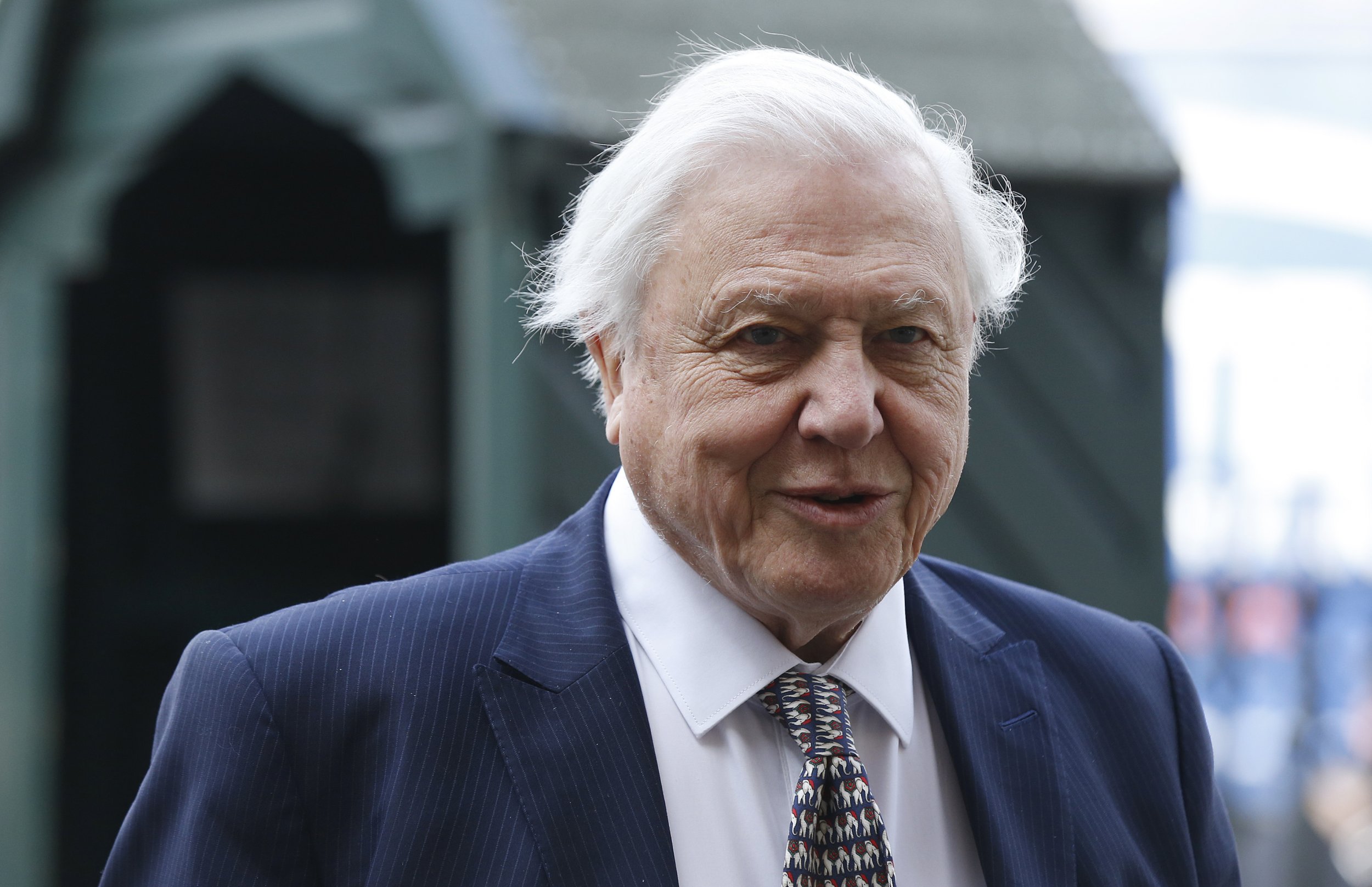 ranking-david-attenborough-s-greatest-moments-of-planet-earth-narration