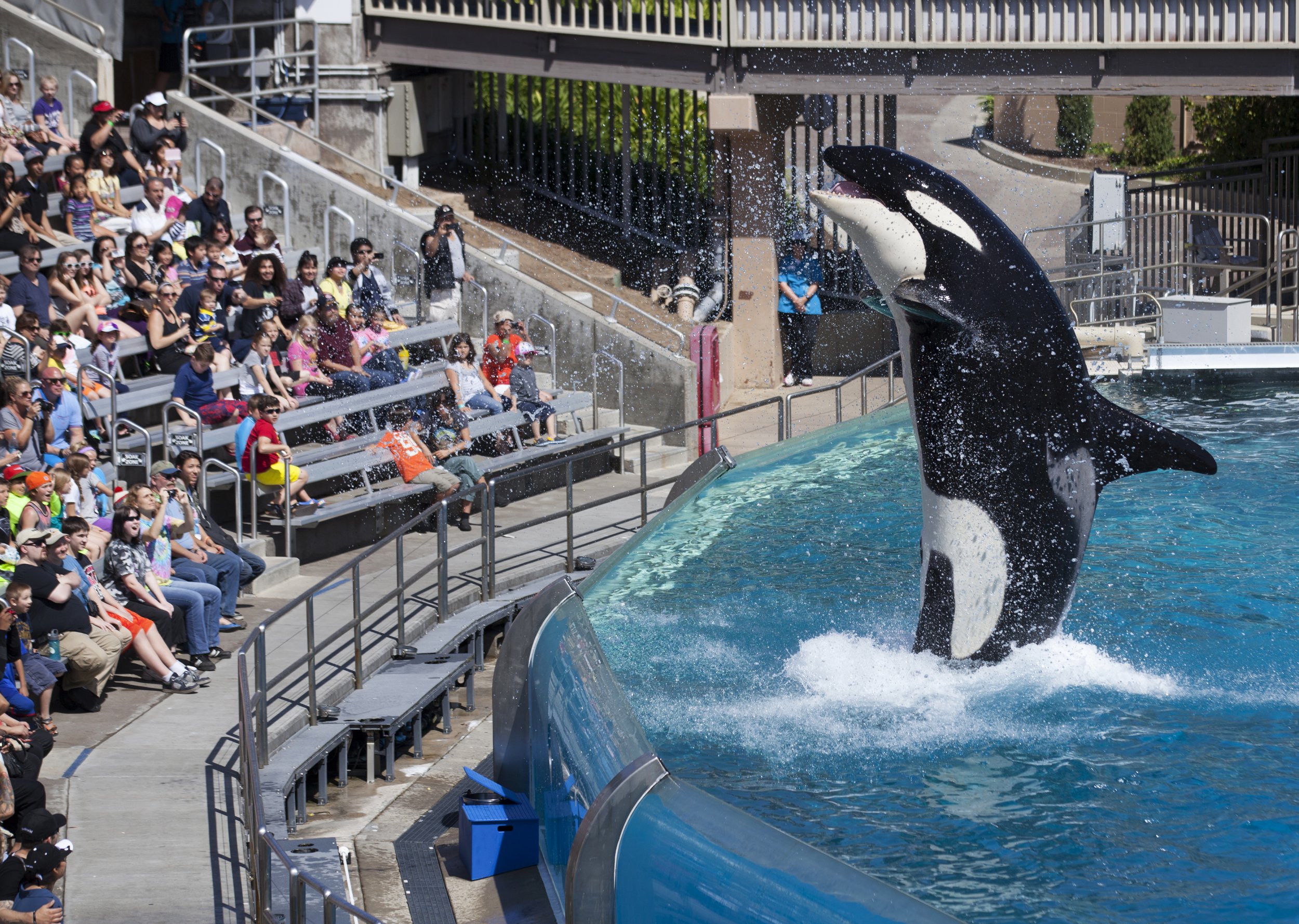 seaworld employee spy_0225