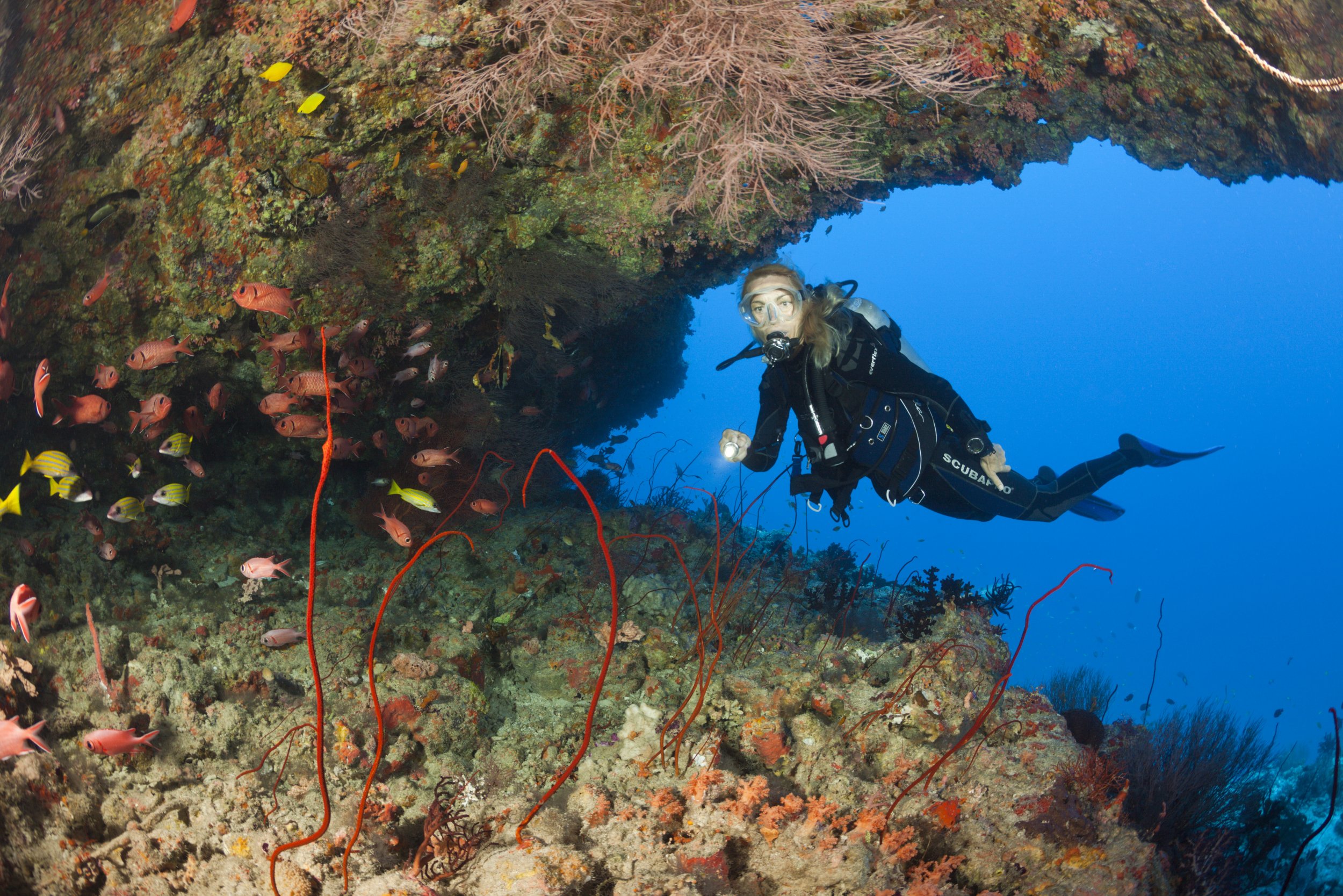 Under the Sea's the Place to Be A Guide to the World's Best Diving