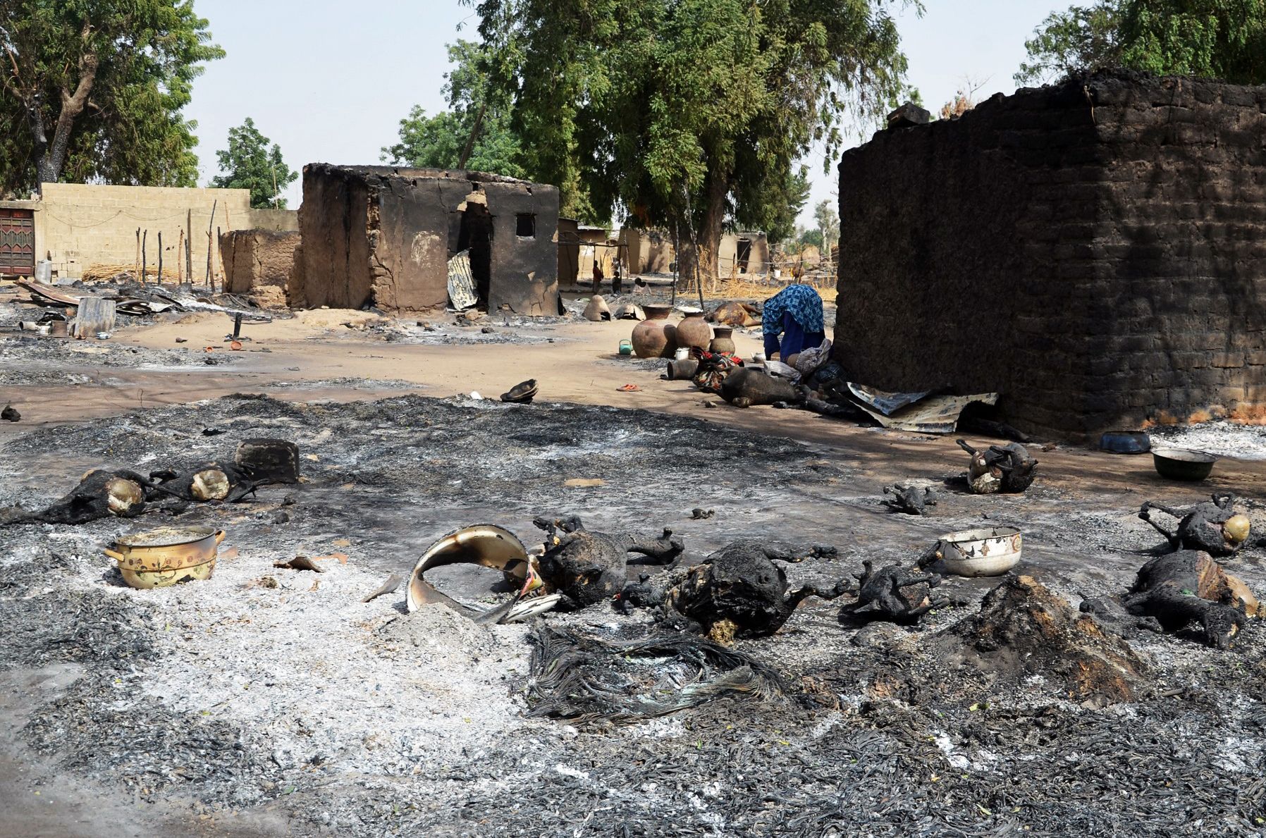 A woman looks through burnt livestock after a Boko Haram attack.