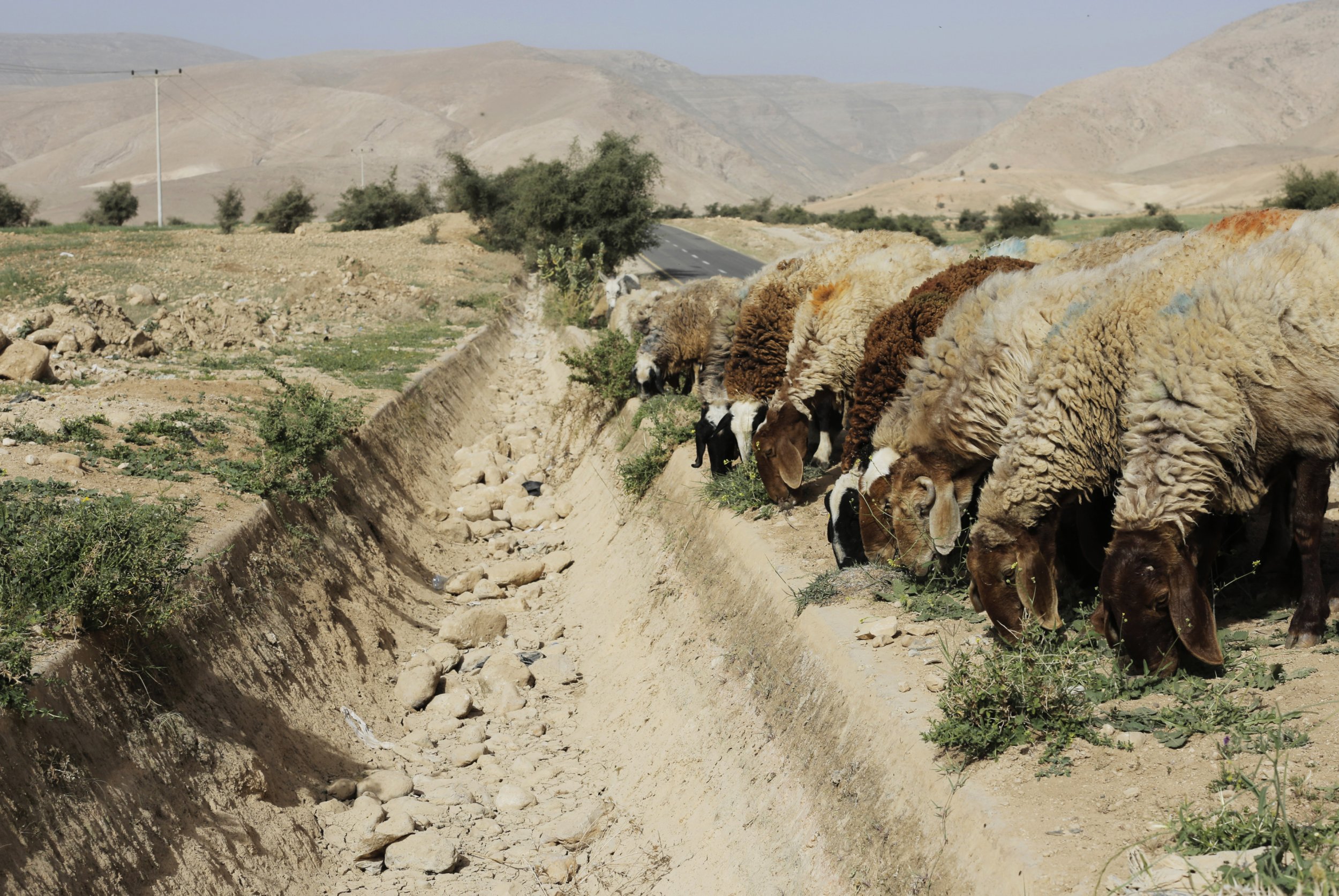 middle east drought syria palestine_0303
