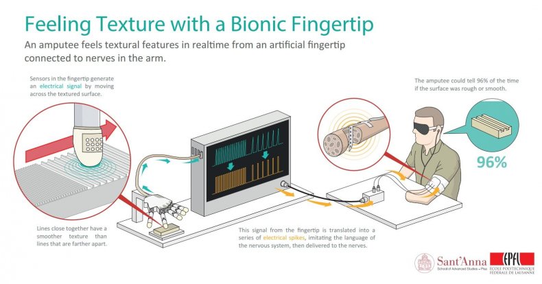 bionic touch prosthetic fingertip epfl