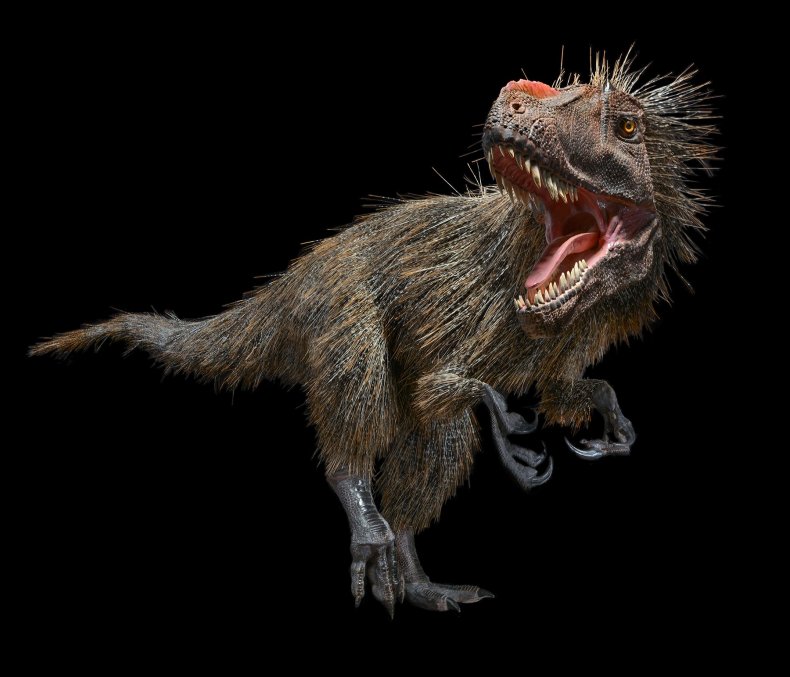 Yutyrannus-huali