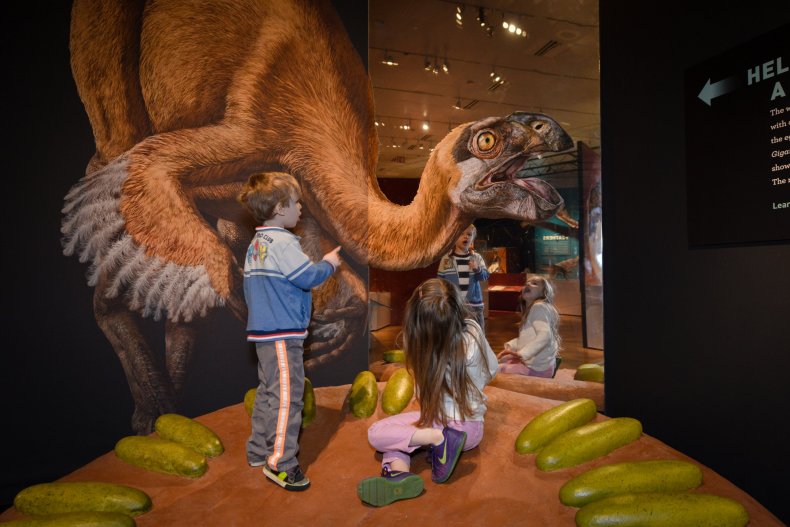 Dinosaur-nest