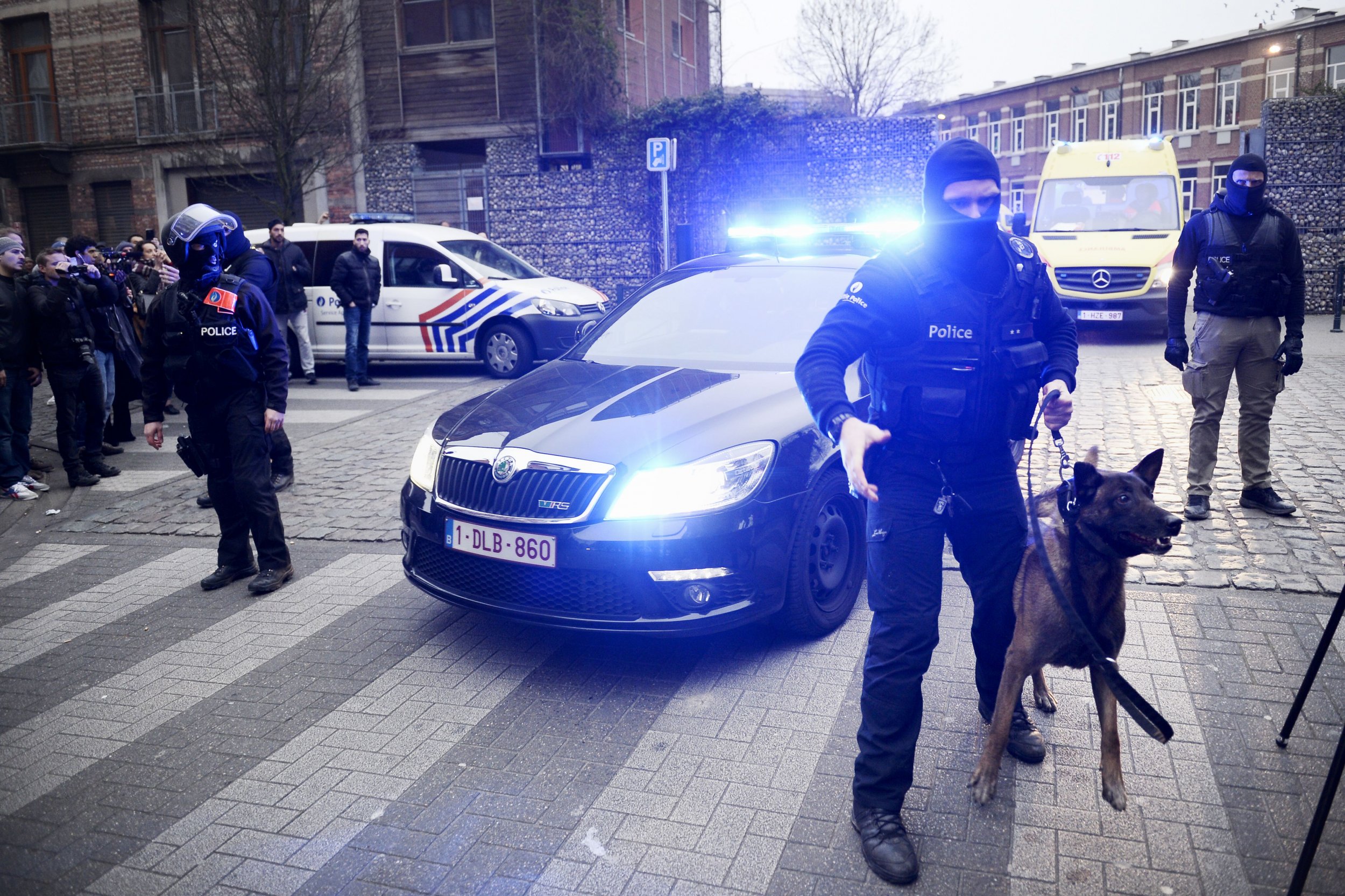 Paris Attacks Brussels Abdeslam Manhunt