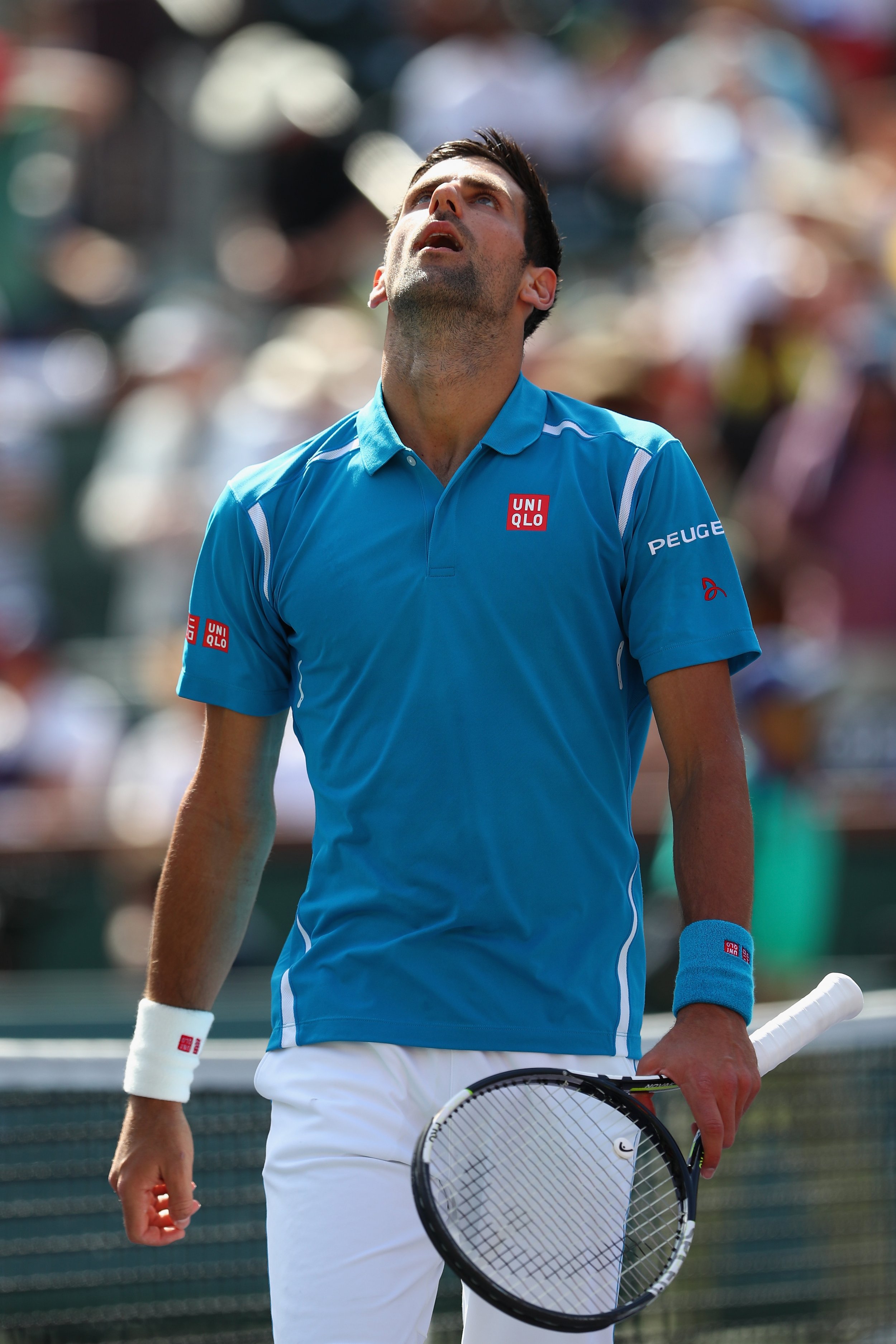 Novak Djokovic won the BNP Paribas Open in Indian Wells on Sunday.