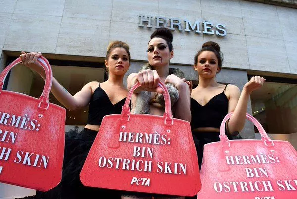 Topless dead ostrich protest at flagship store ruffles Hermès
