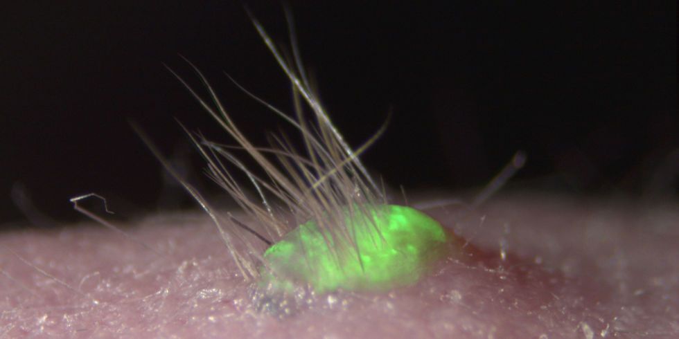 artificial skin robotics hair sweat