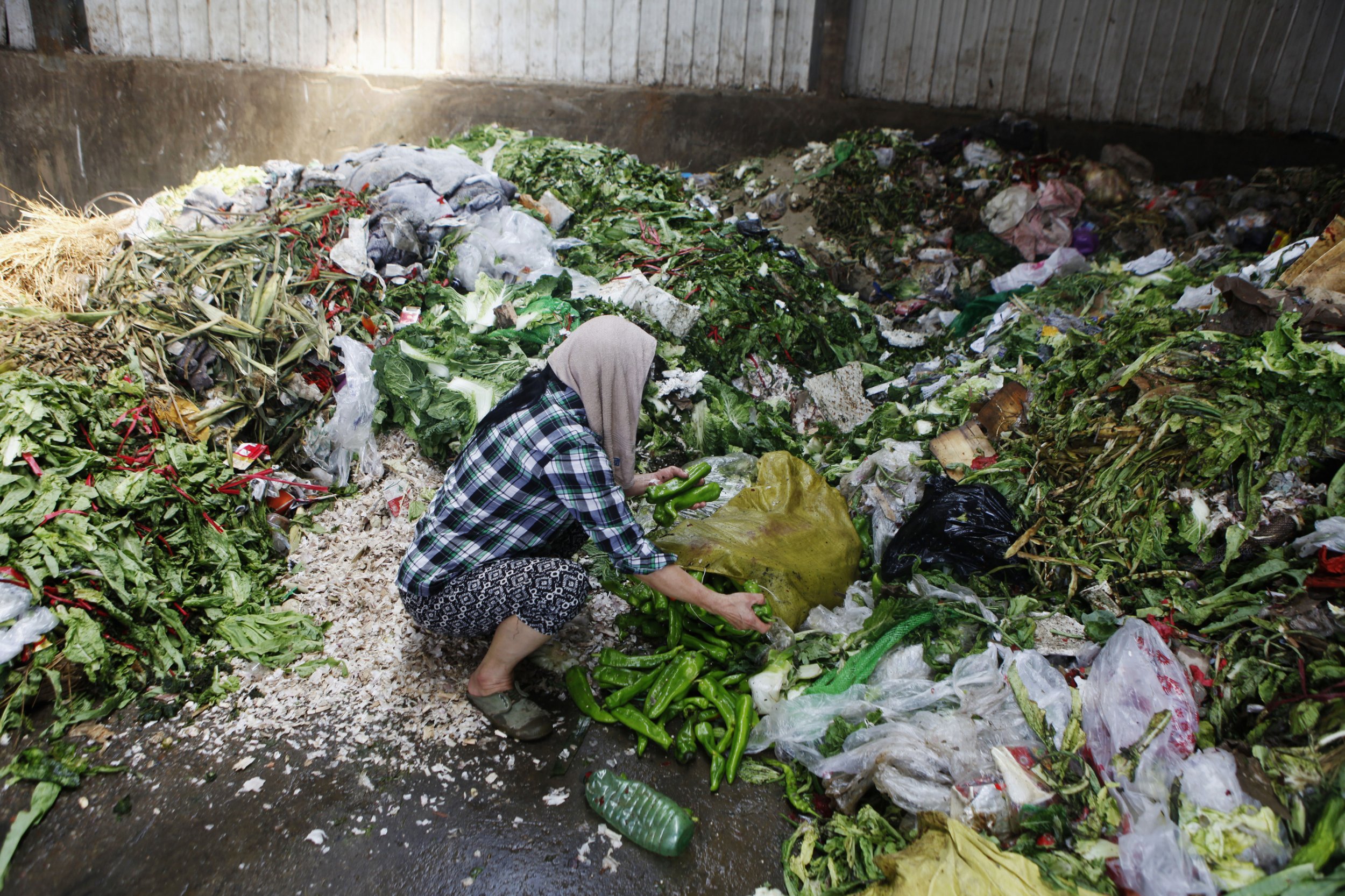 Food waste adding to climate change