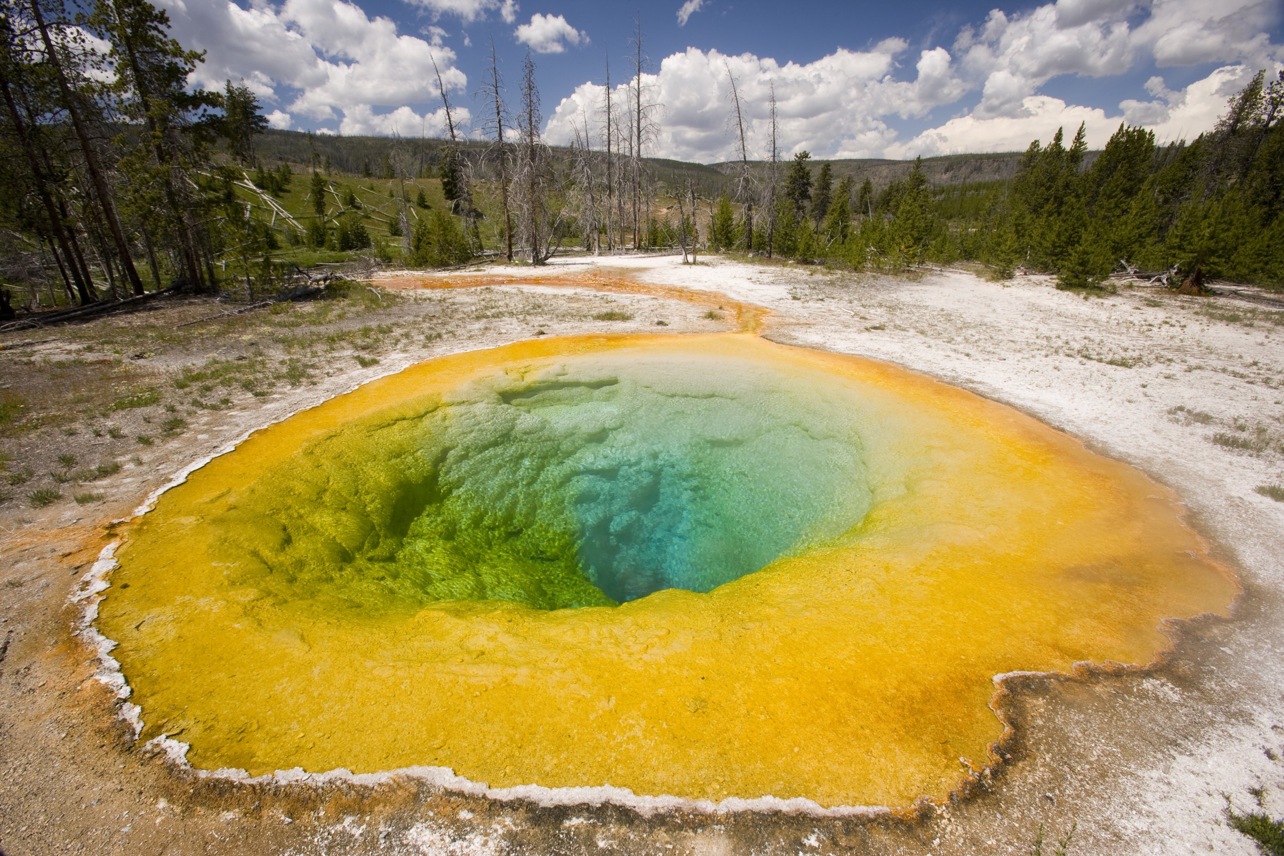 Turning Enzymes From the Most Inhospitable Places on Earth Into ...