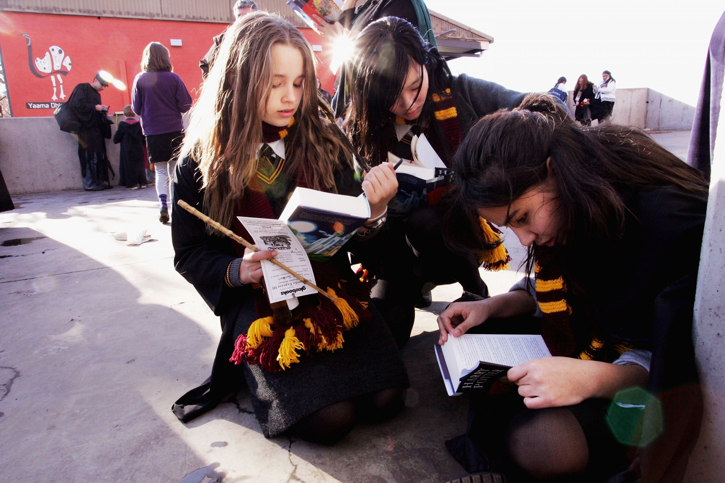 Harry Potter Fans 