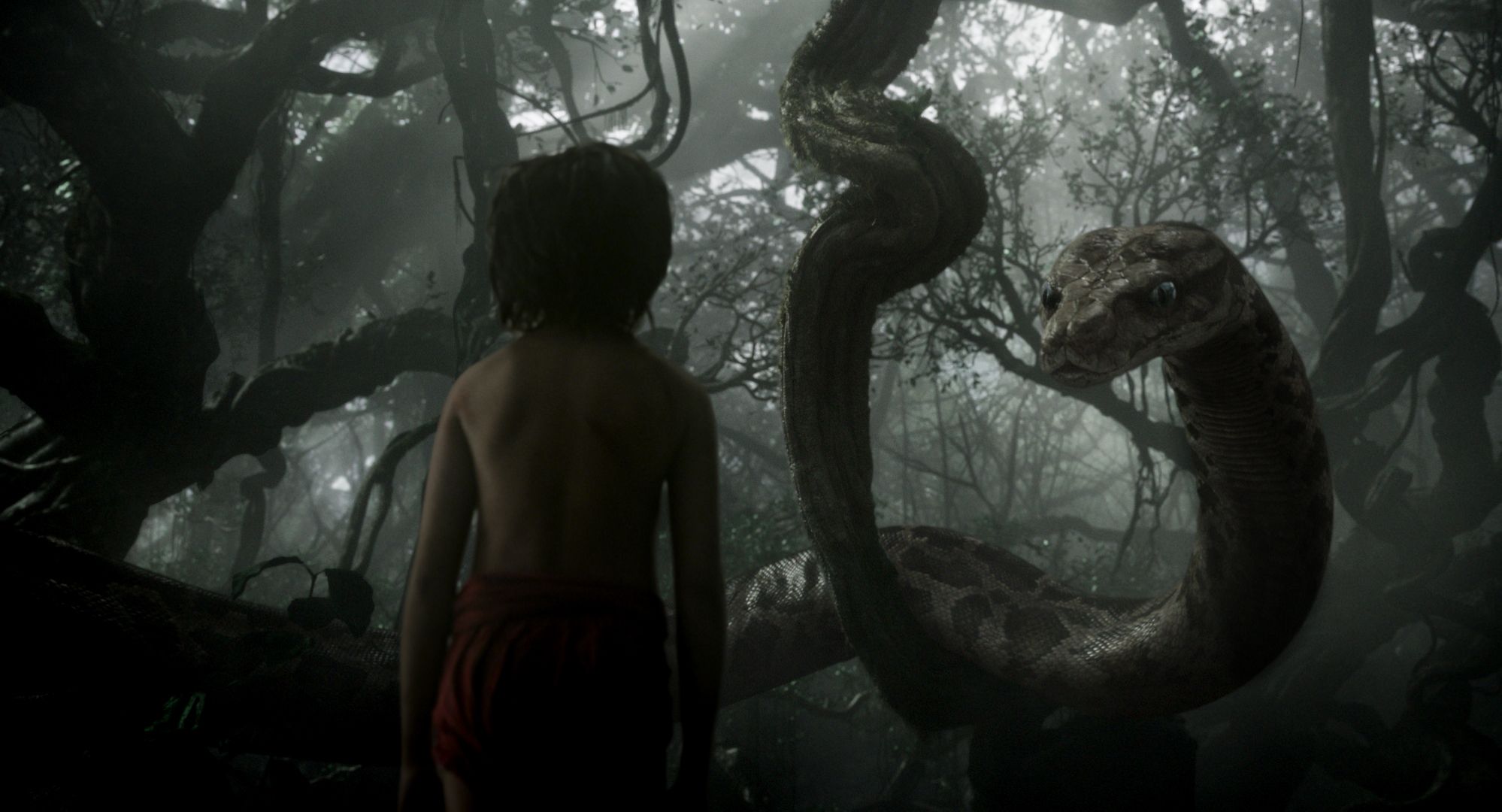 The Jungle Book instal the last version for ios