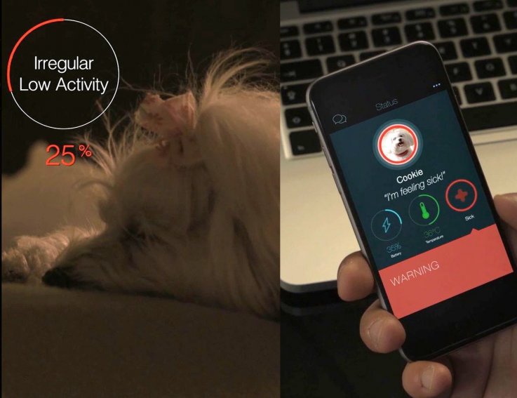 kyon dog collar smart GPS kyon dog collar smart GPS