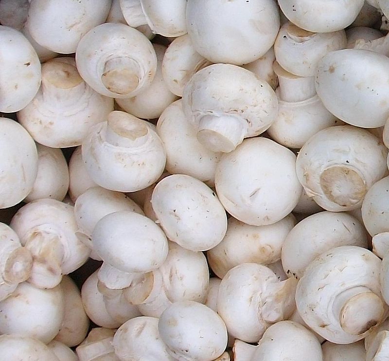 white-button-mushrooms