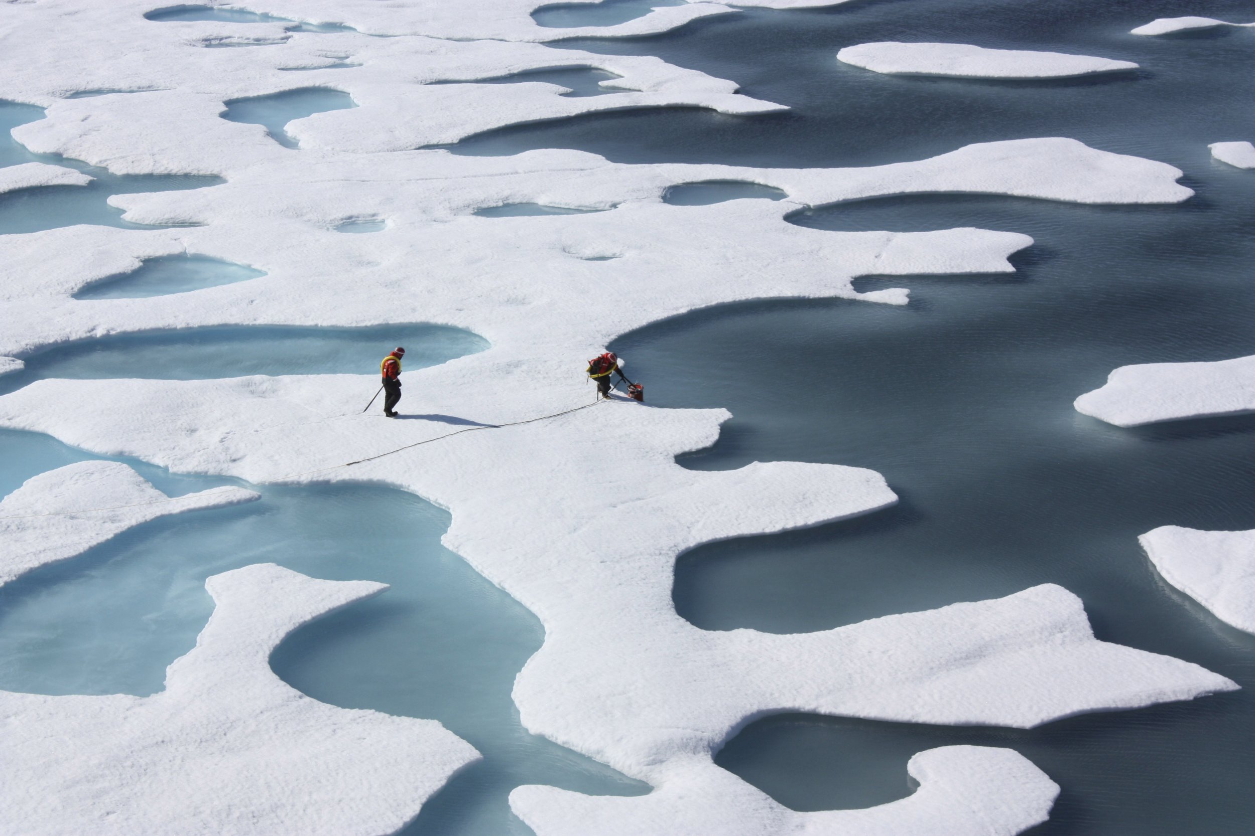 Arctic sea ice melt