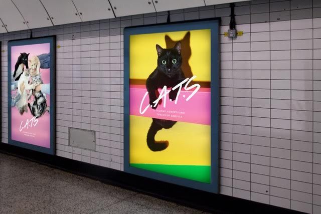 Cats London Underground