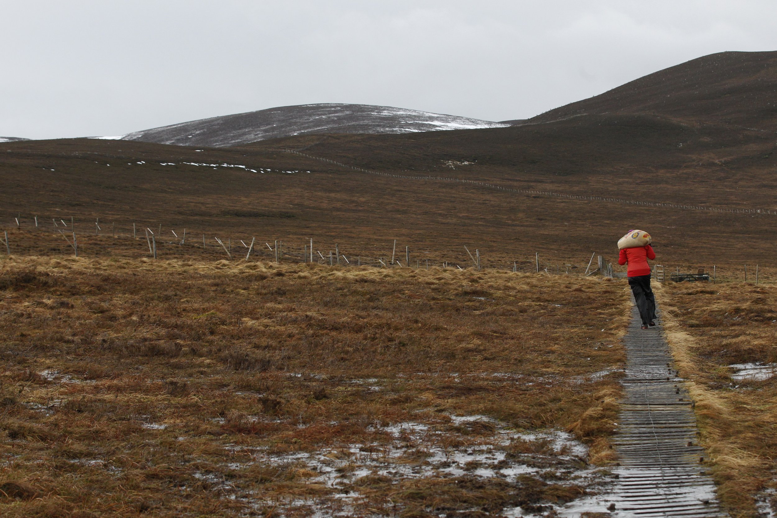 Cairngorm Mountains