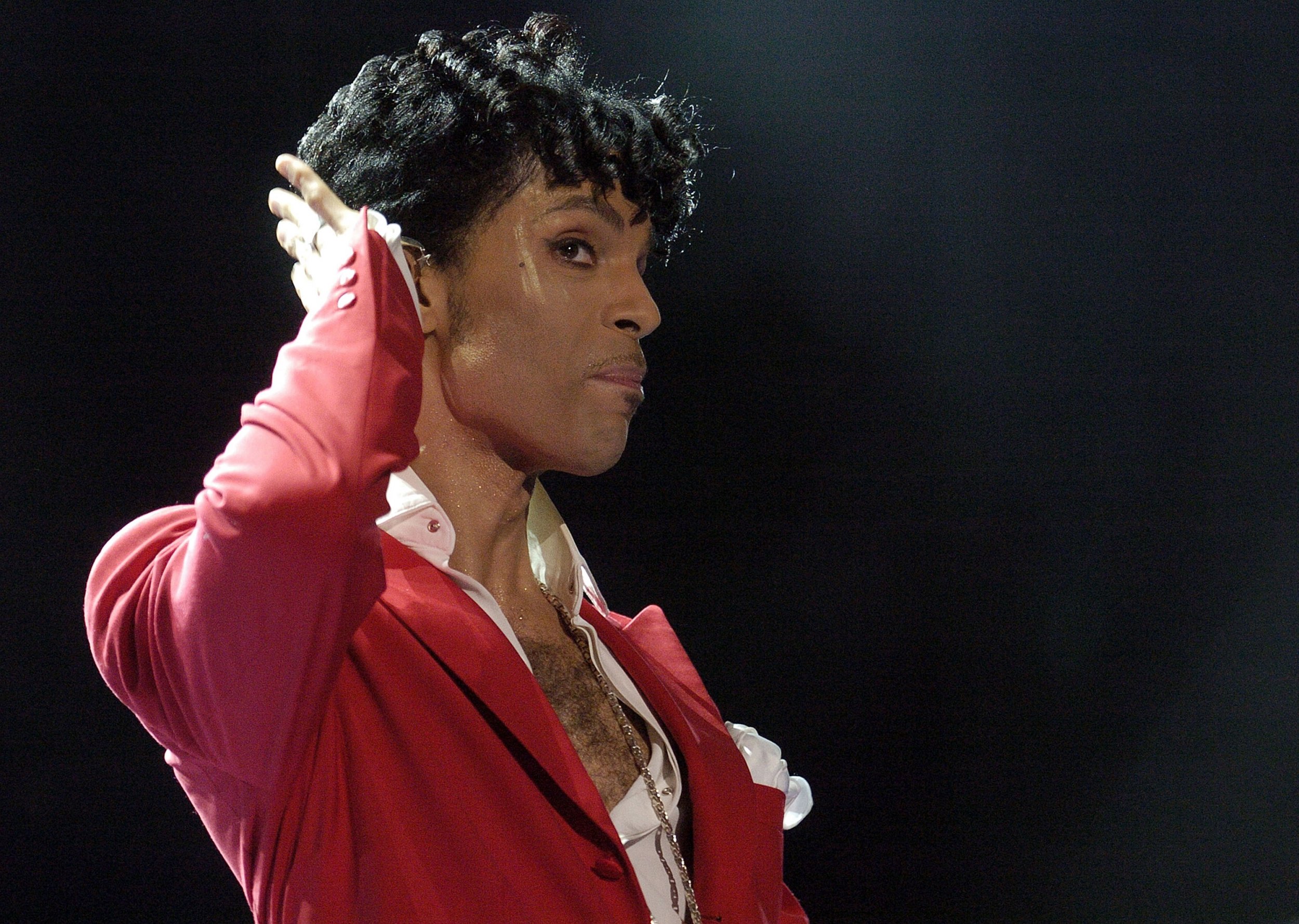 Prince in 2004