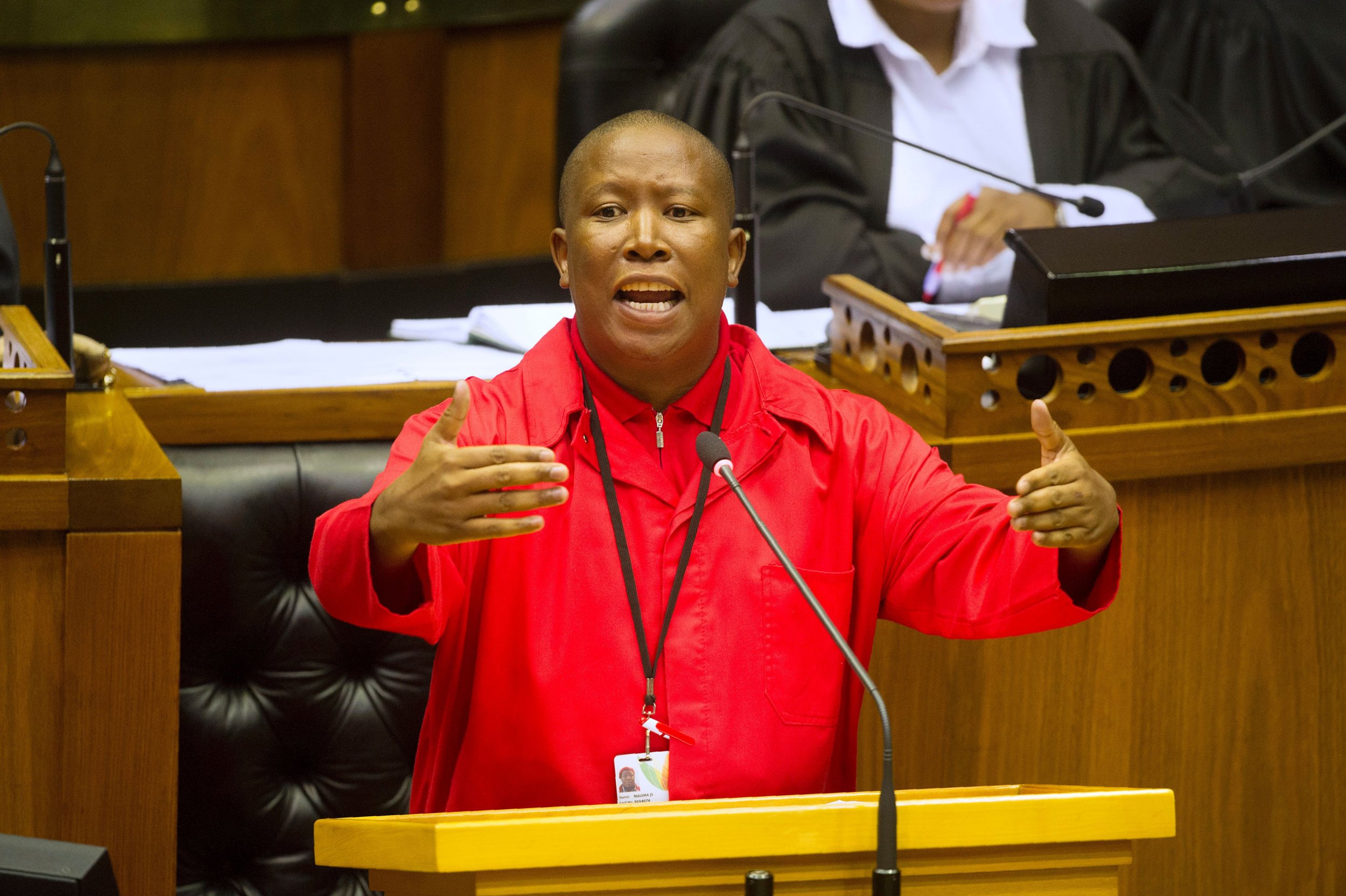 EFF leader Julius Malema.