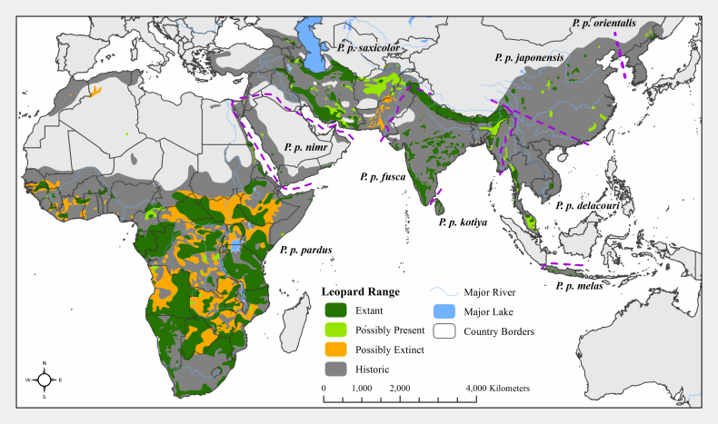 Leopard-range Leopard-range