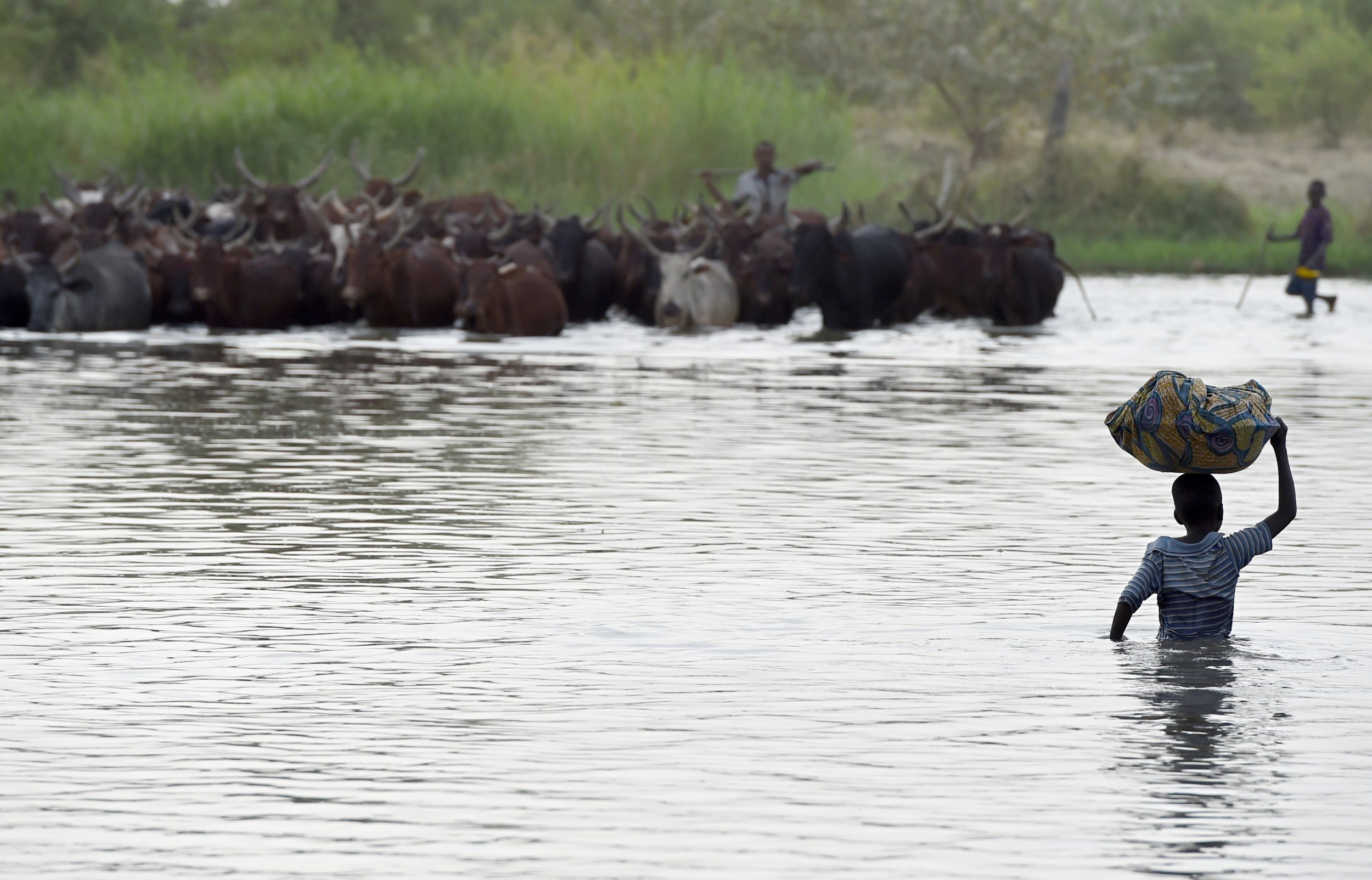 Boy crosses section of Lake Chad.