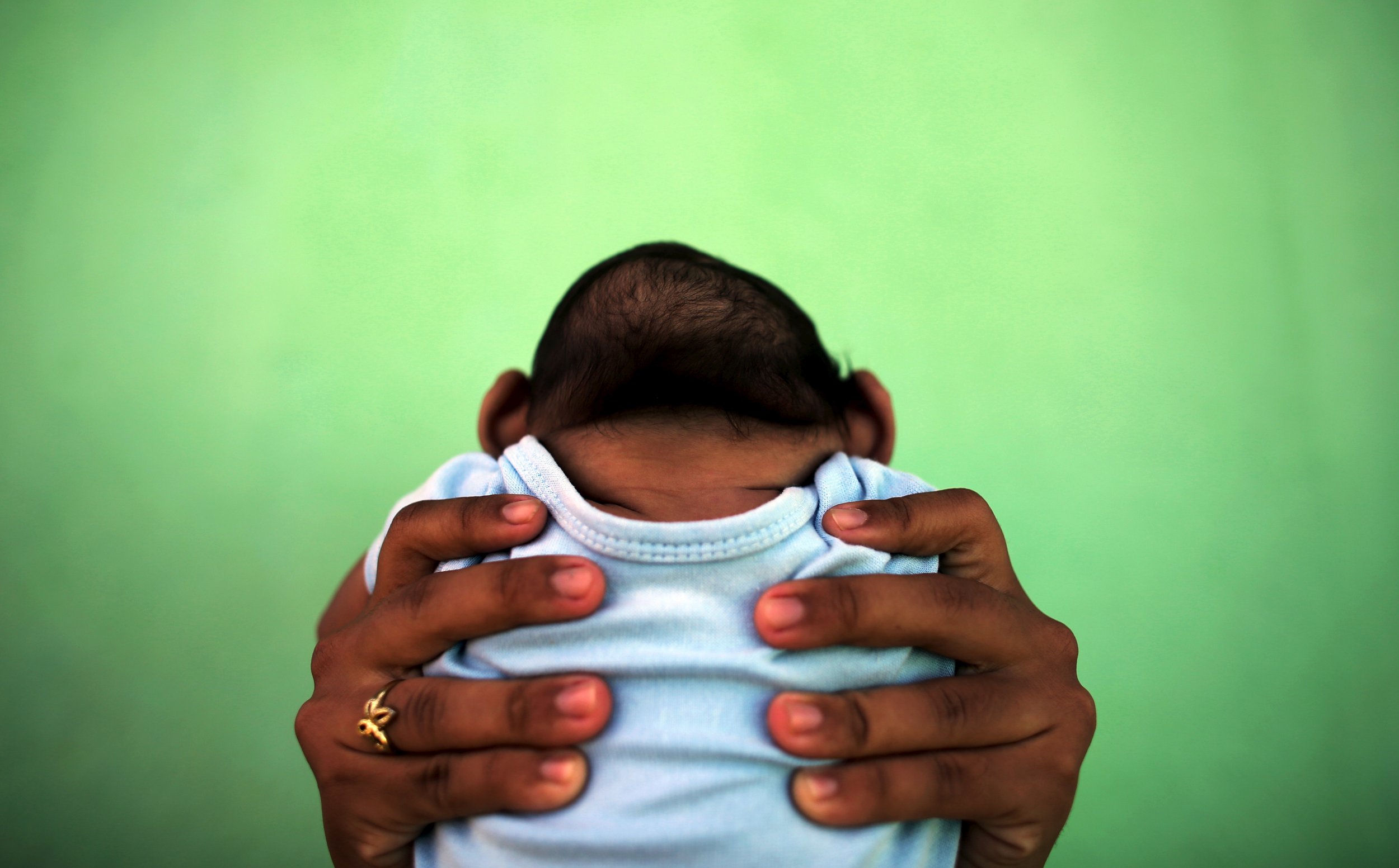 zika virus study birth defects