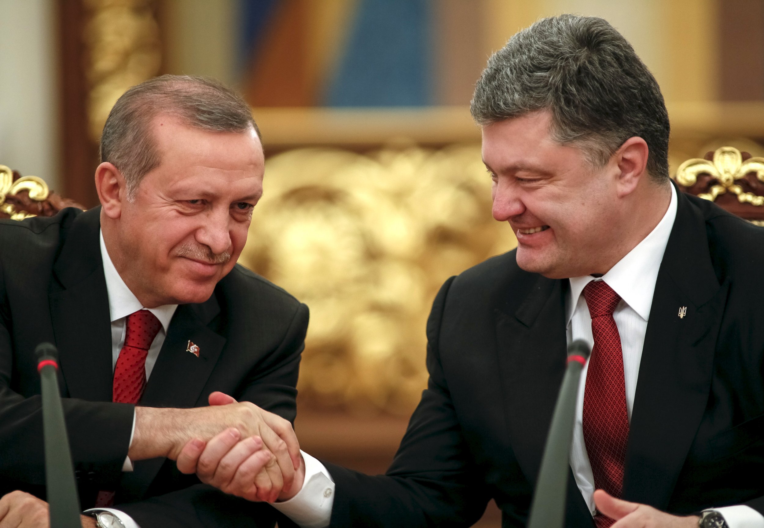 Erdogan and Poroshenko shake hands