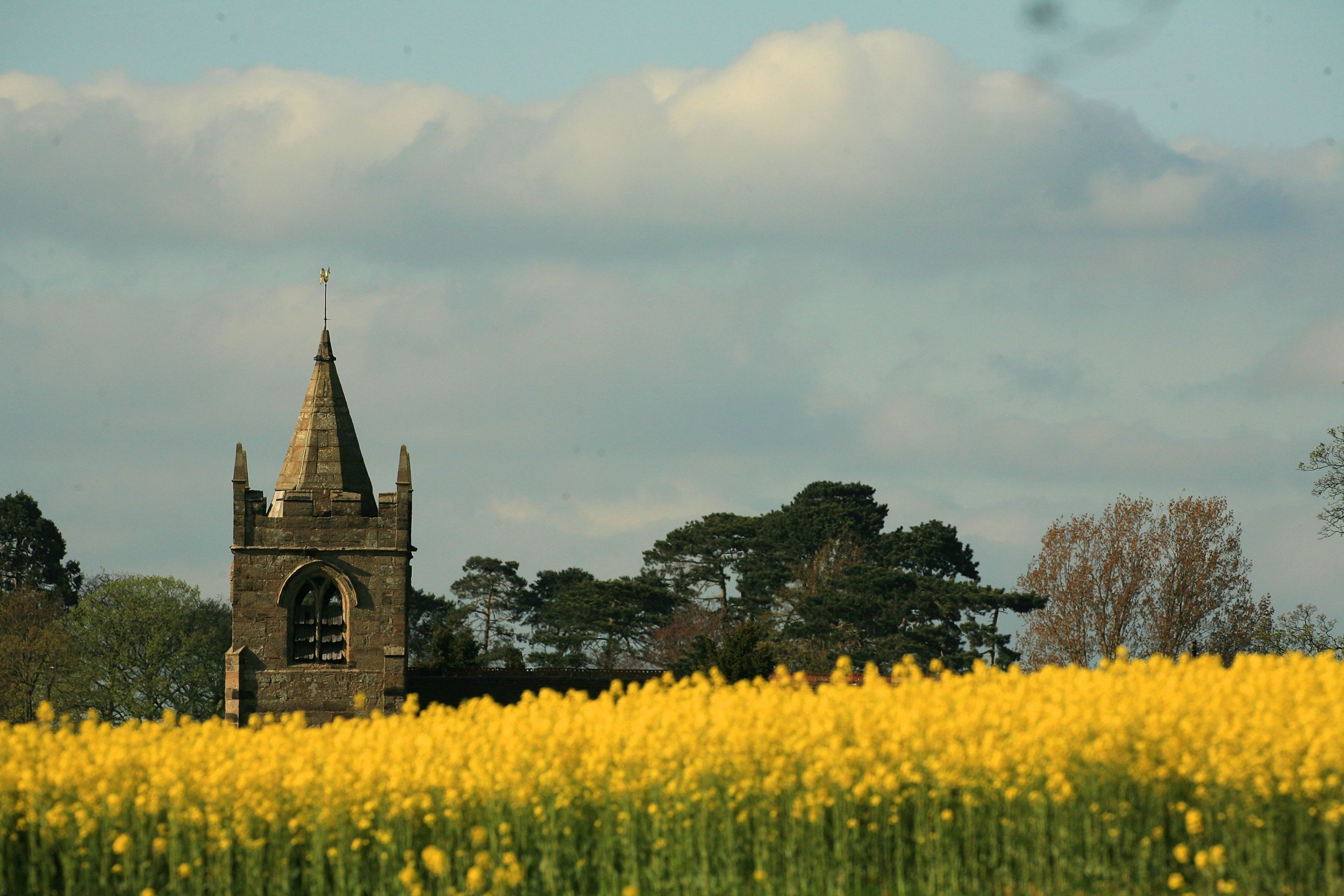 Countryside 